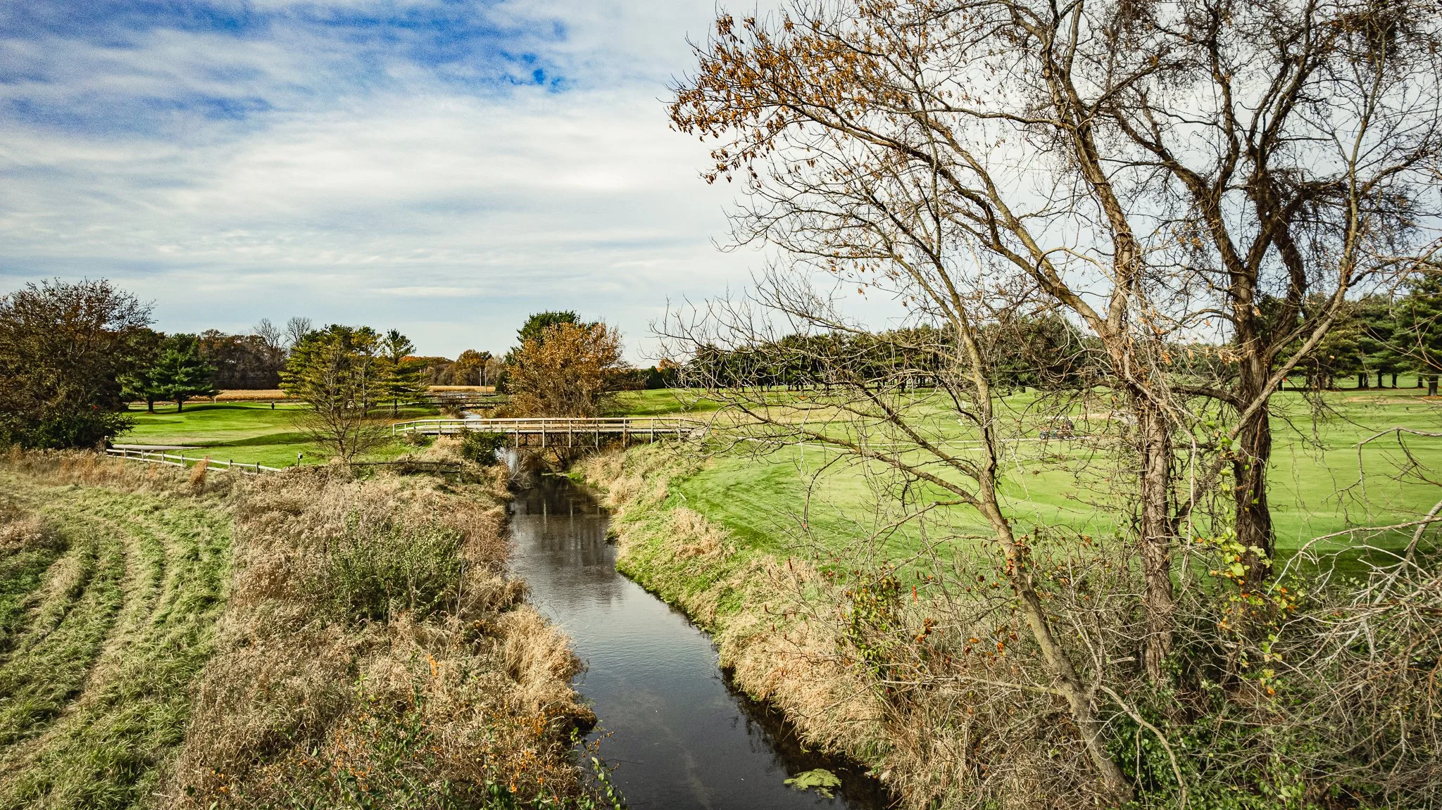maumee state forest.blue creek restoration LoRes-30.jpg