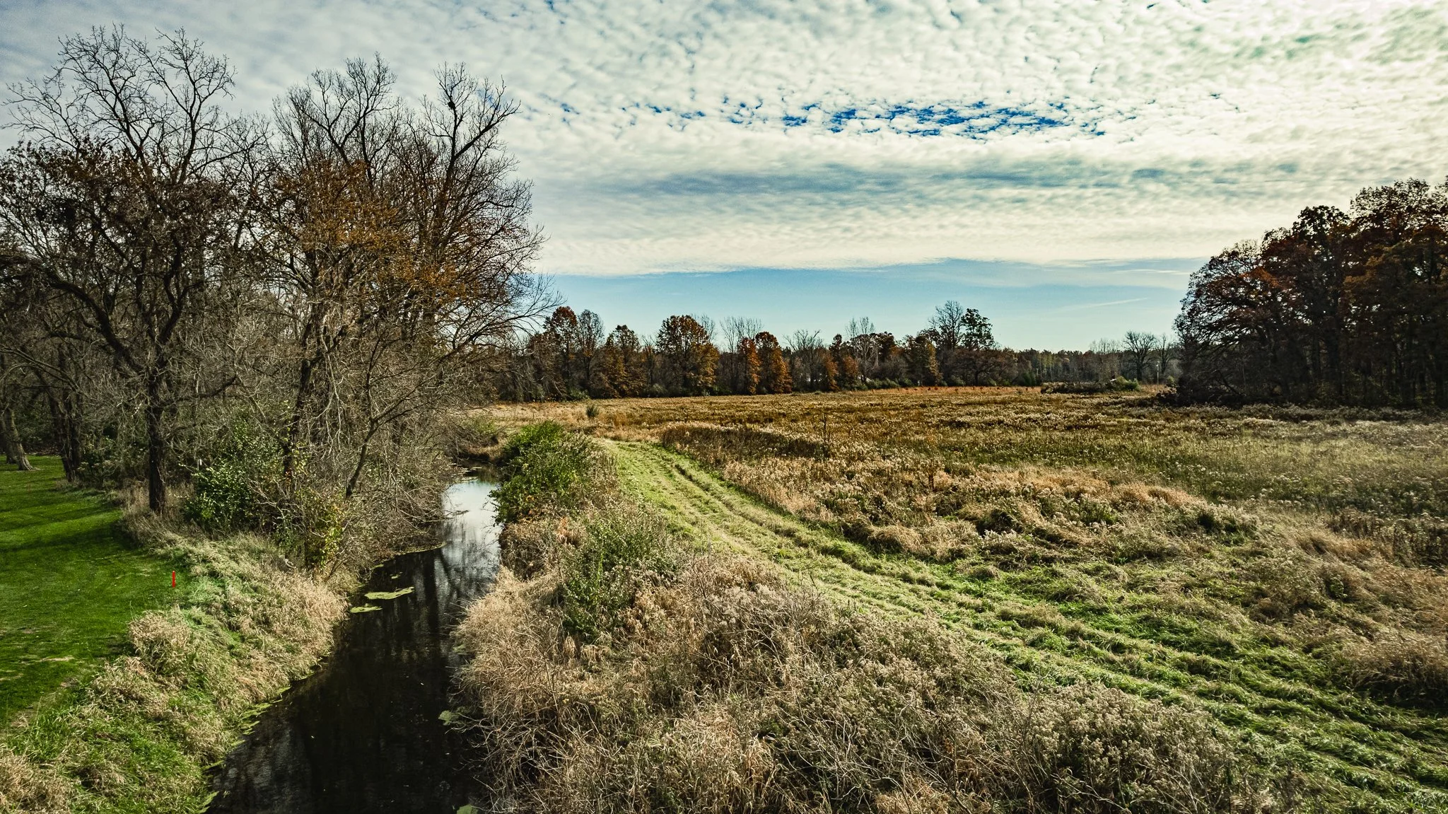 maumee state forest.blue creek restoration LoRes-32.jpg