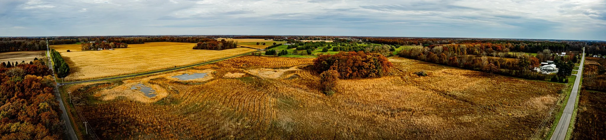 maumee state forest.blue creek restoration LoRes-33.jpg