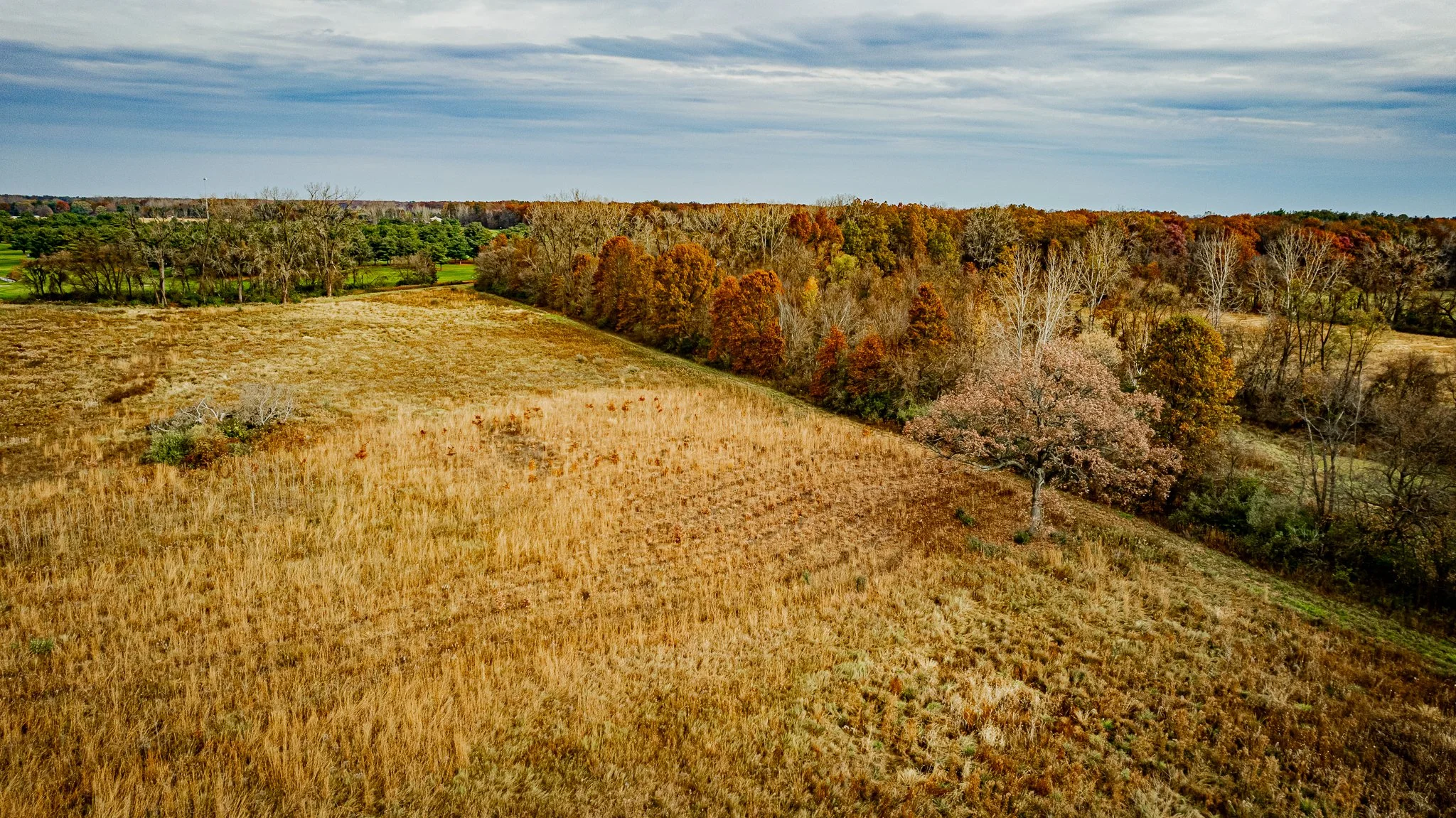 maumee state forest.blue creek restoration LoRes-34.jpg