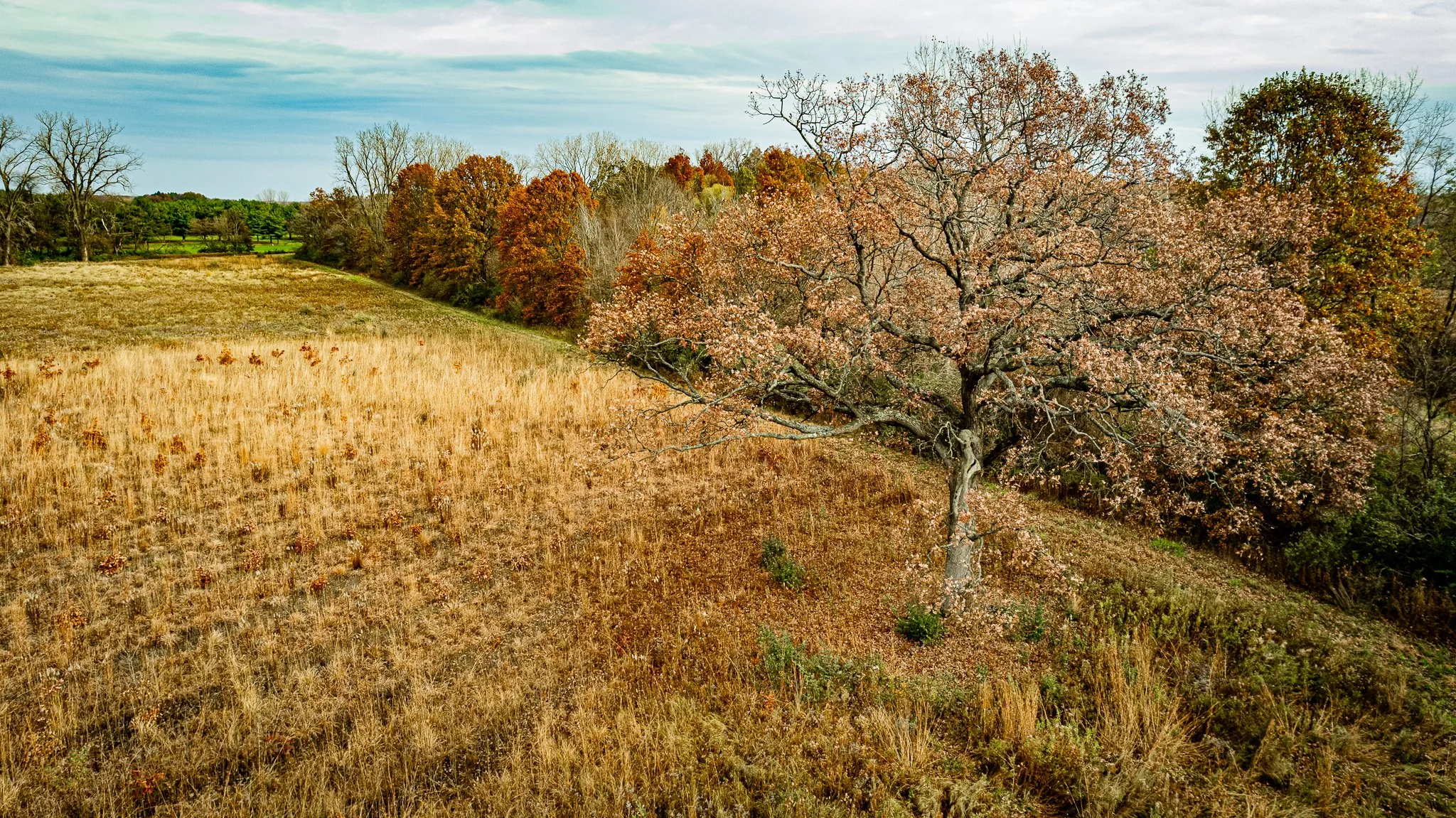 maumee state forest.blue creek restoration LoRes-35.jpg