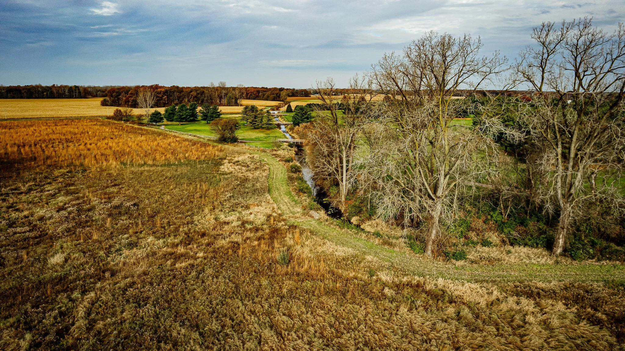 maumee state forest.blue creek restoration LoRes-36.jpg