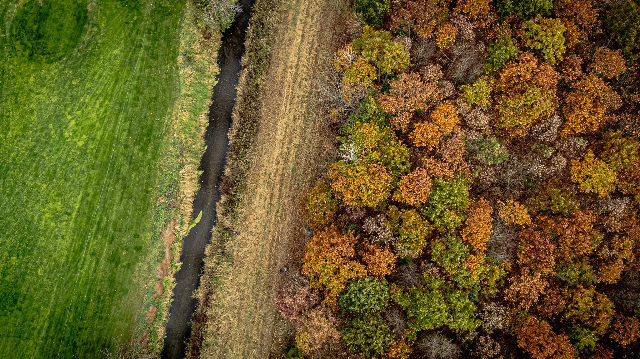 maumee state forest.blue creek restoration LoRes-38.jpg