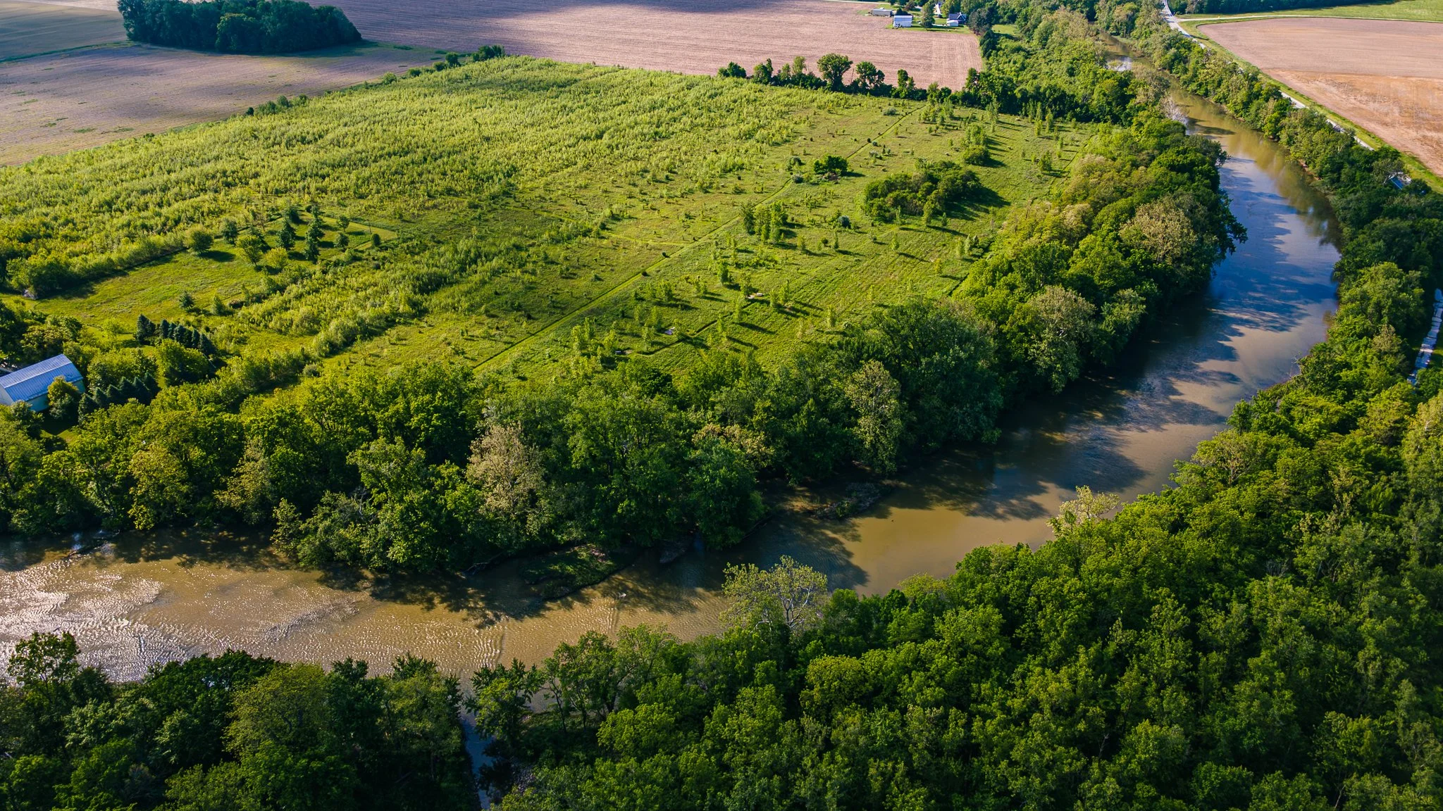 Water's Edge Nature Preserve, Sandusky River, Ohio. 05.31.2025