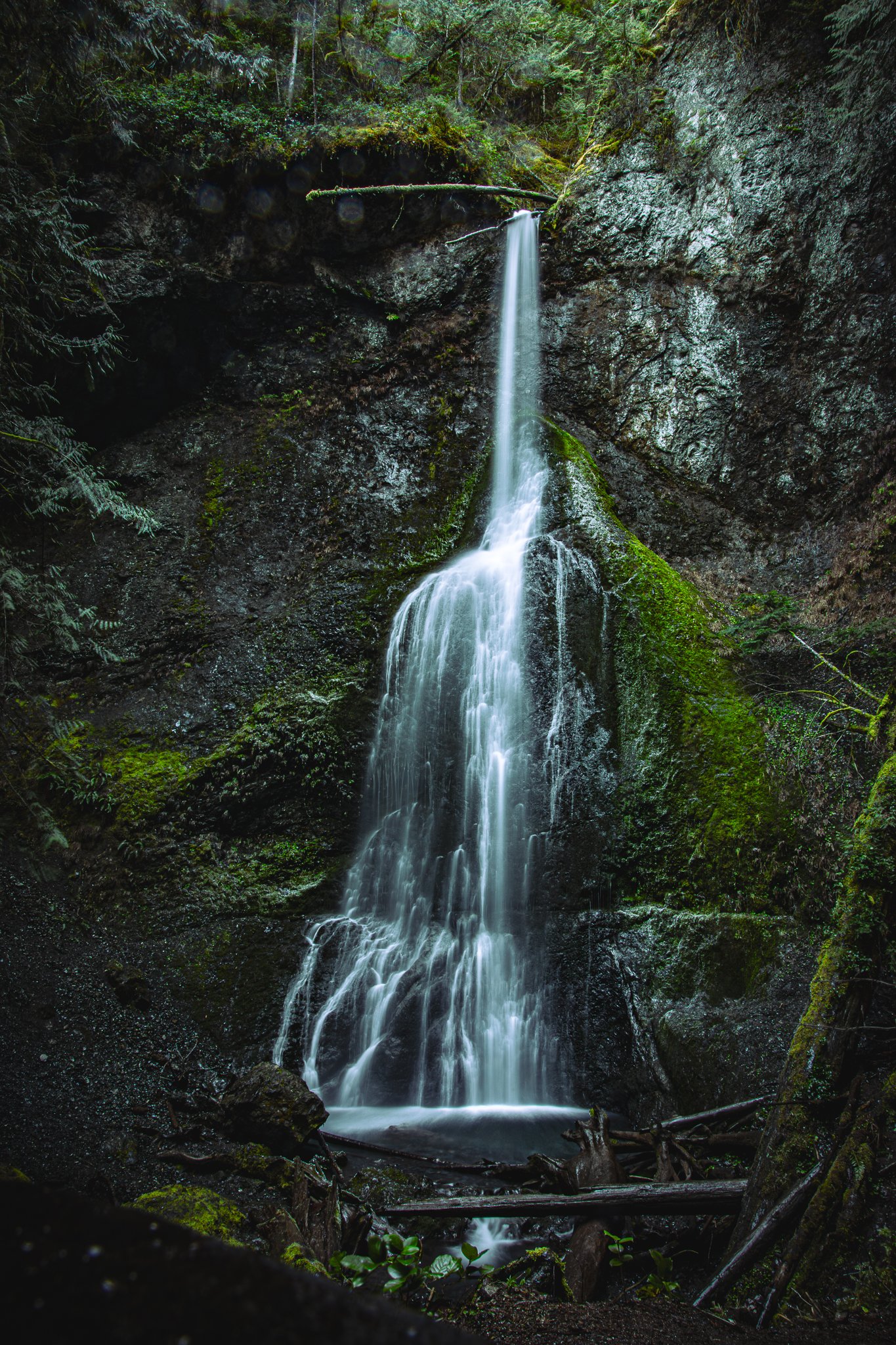 Marymere Falls, Olympic National Park, Washington. 01.21.2025