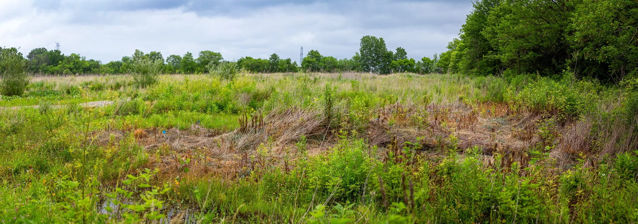 s & w feder rd 2026-06-13 lo-res (1).jpg