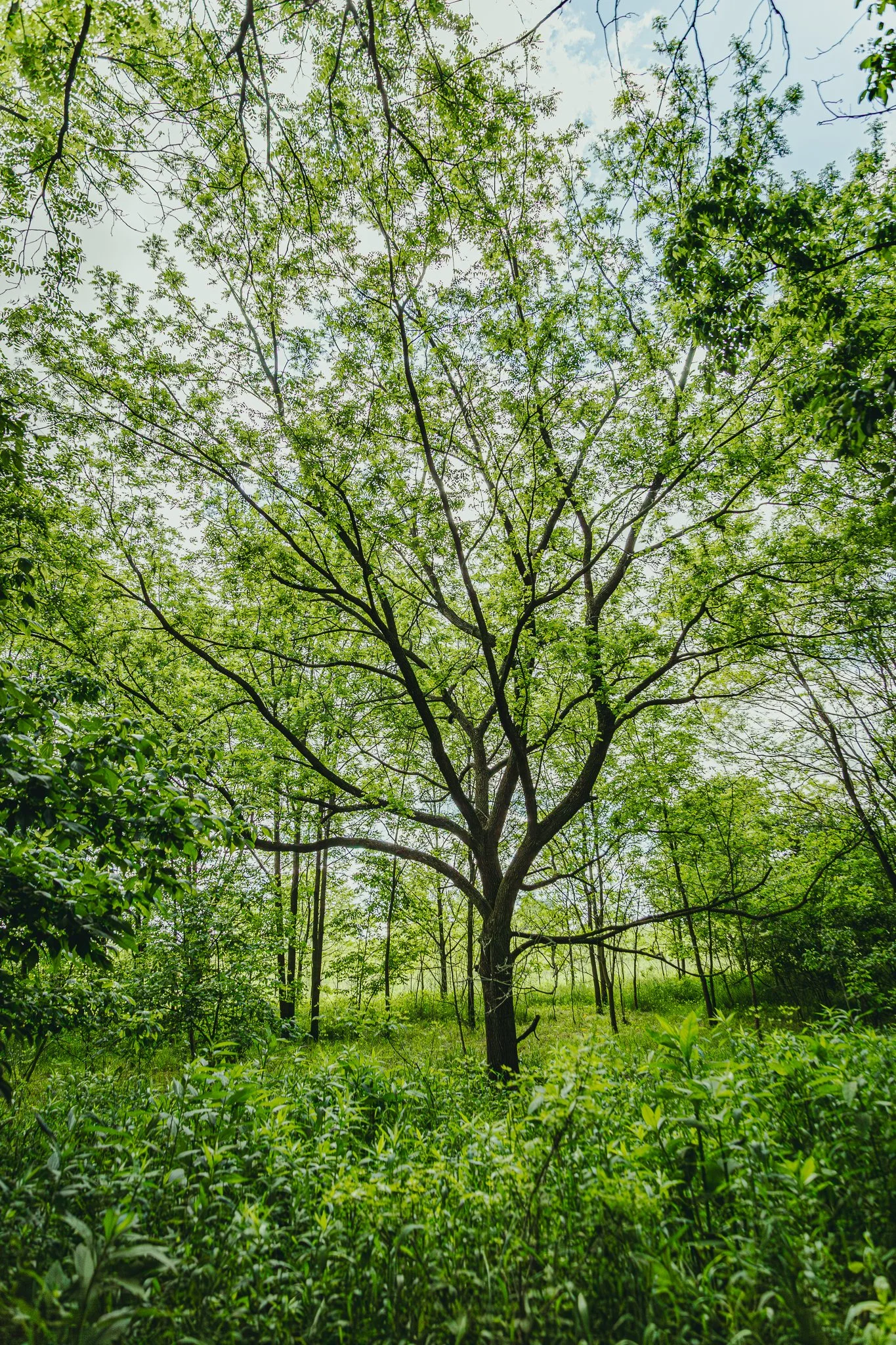 black swamp conservatory water's edge LoRes-11.jpg