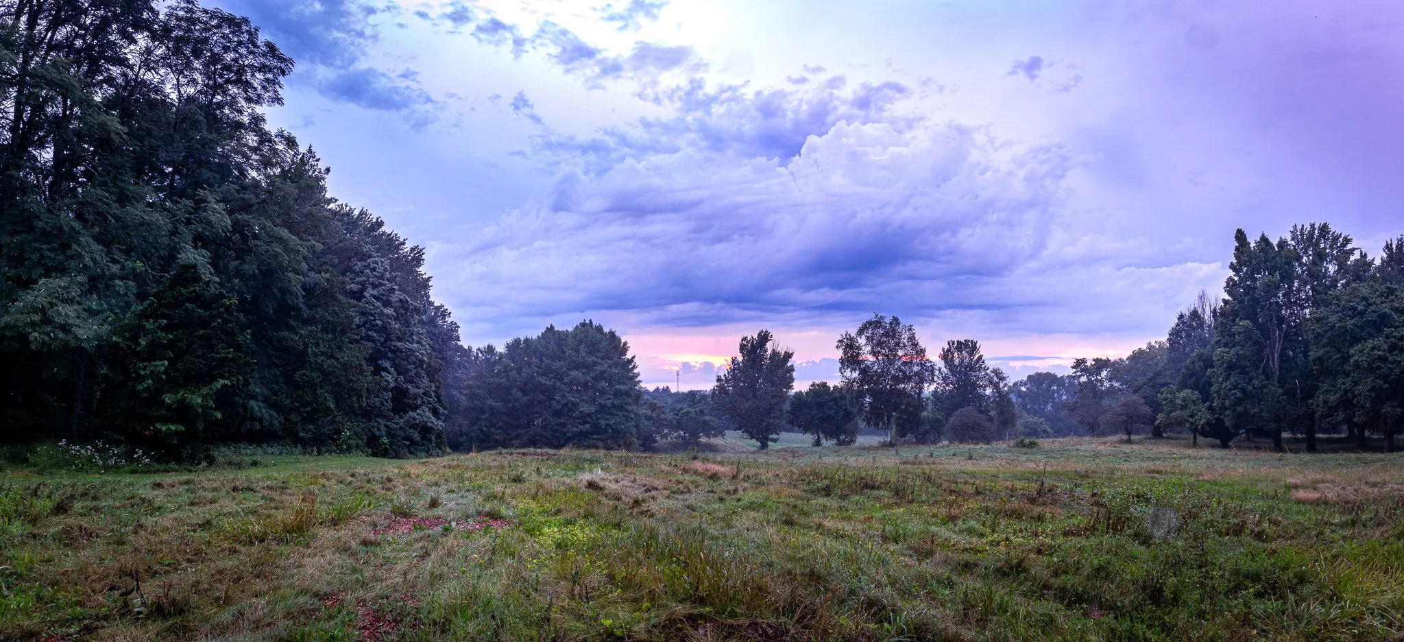 "Field at sunset, pano" CFAES Wooster Campus. The Ohio State University. Saturday July 26, 2025