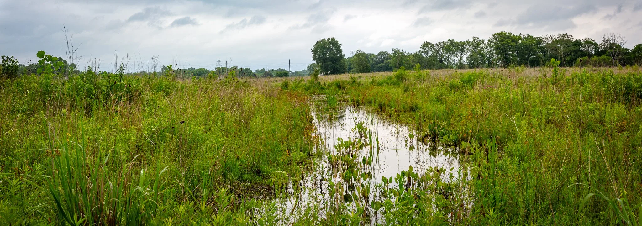 s & w feder rd 2026-06-13 lo-res (49).jpg