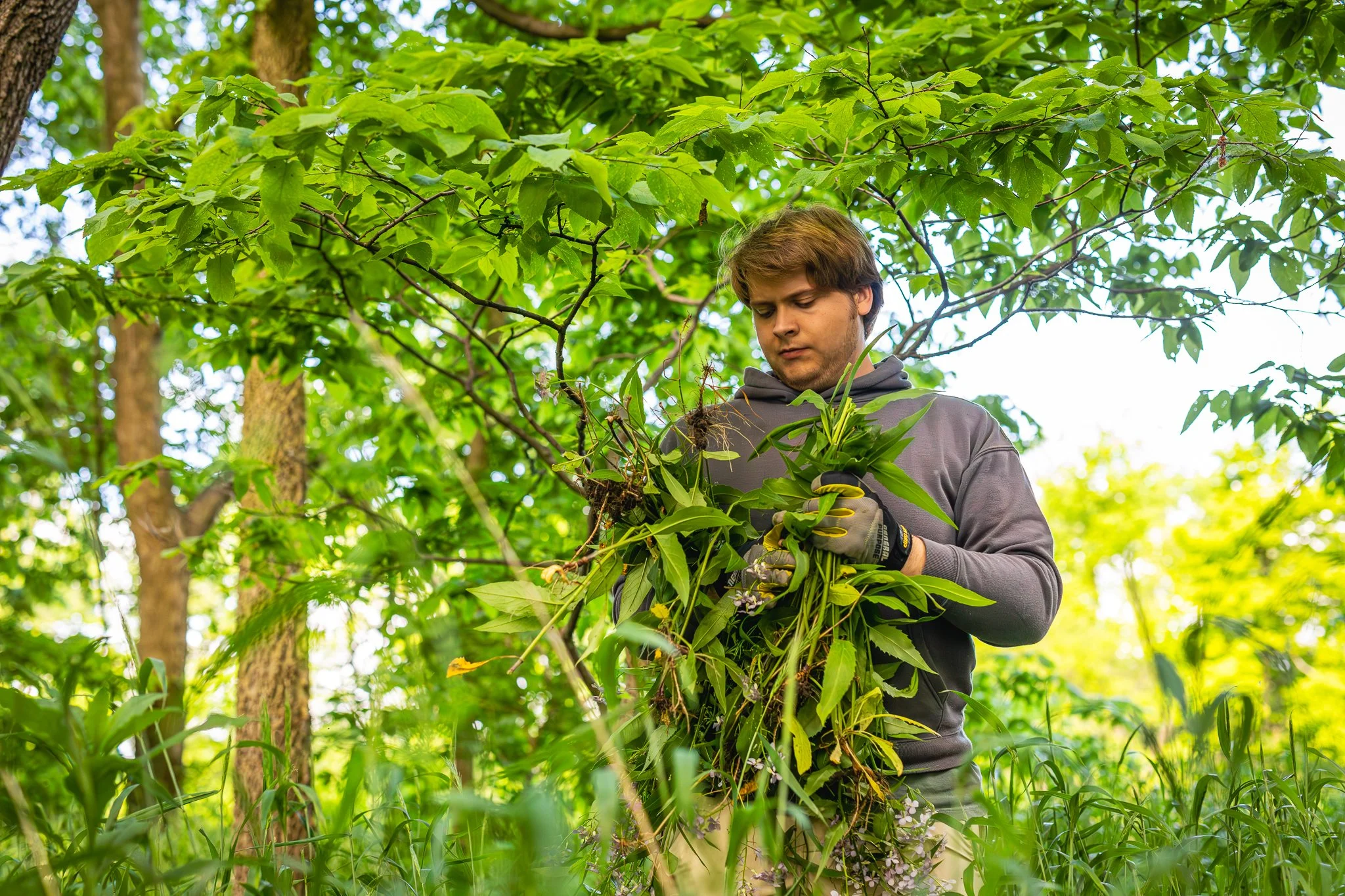 black swamp conservatory water's edge LoRes-15.jpg