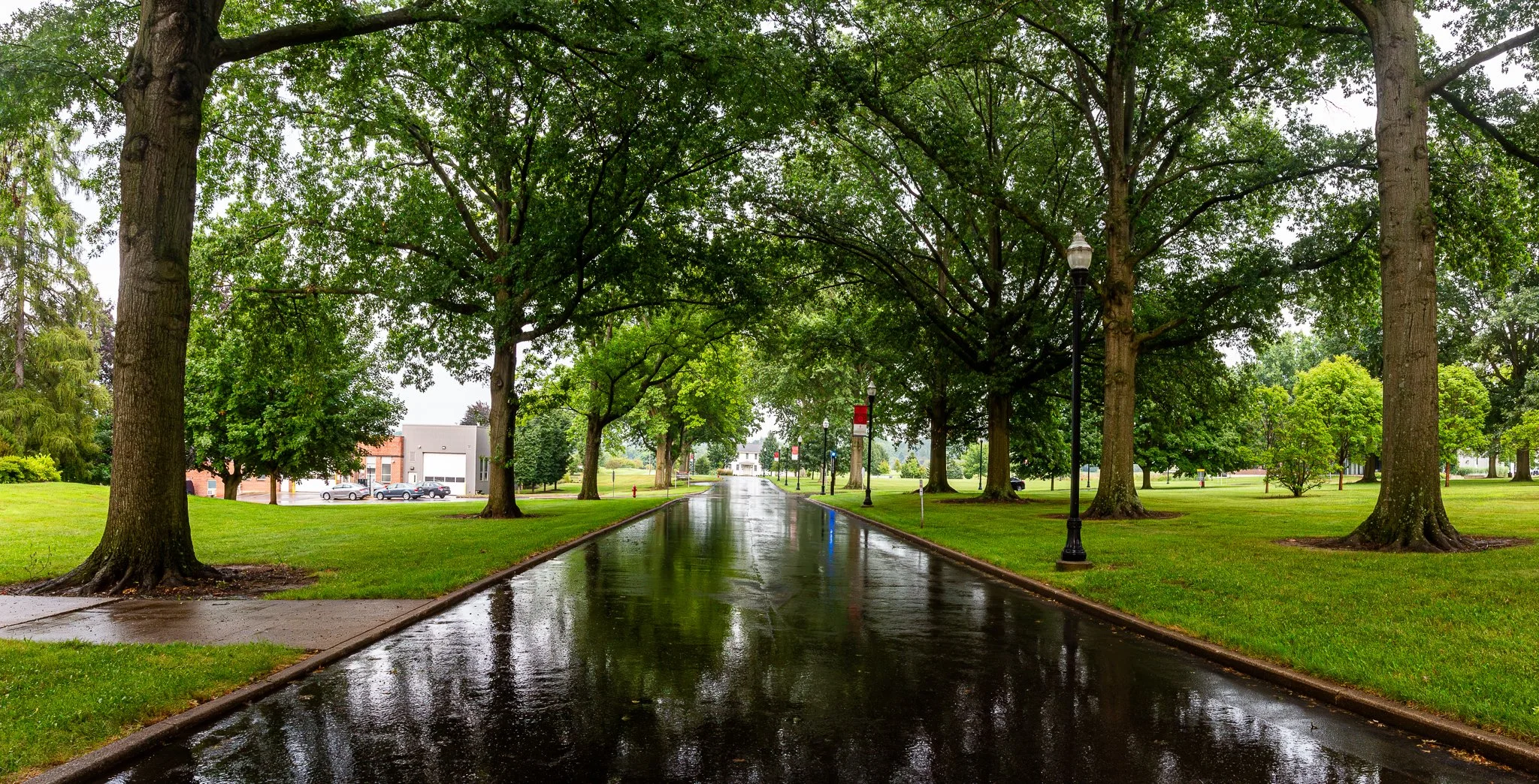"Williams Road"  CFAES Wooster Campus. The Ohio State University. Saturday July 26, 2025