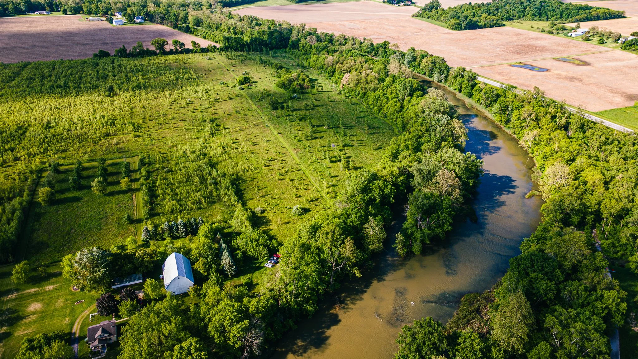 black swamp conservatory water's edge LoRes-02.jpg