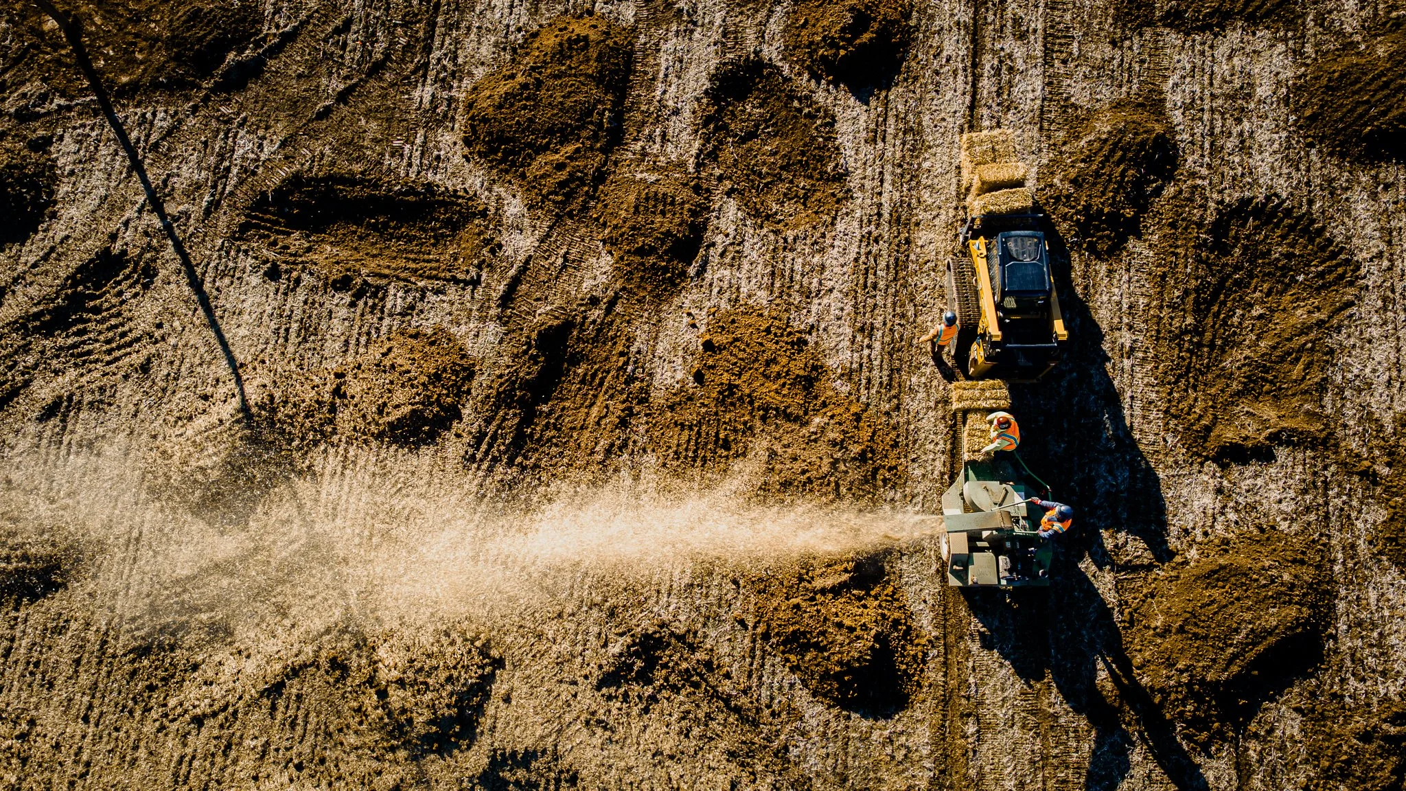 Gorman Oxbow, Clear Fork Restoration, Ohio. 11.13.2025