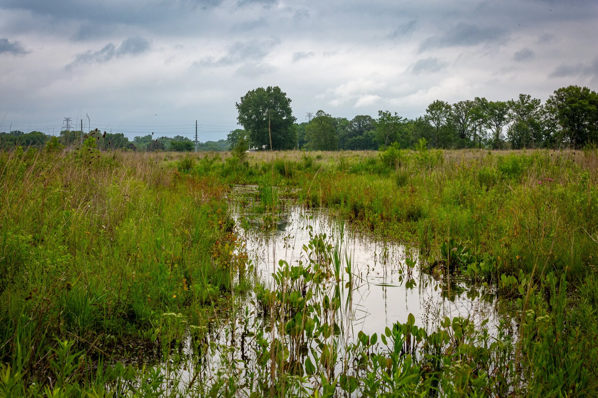 s & w feder rd 2026-06-13 lo-res (2).jpg