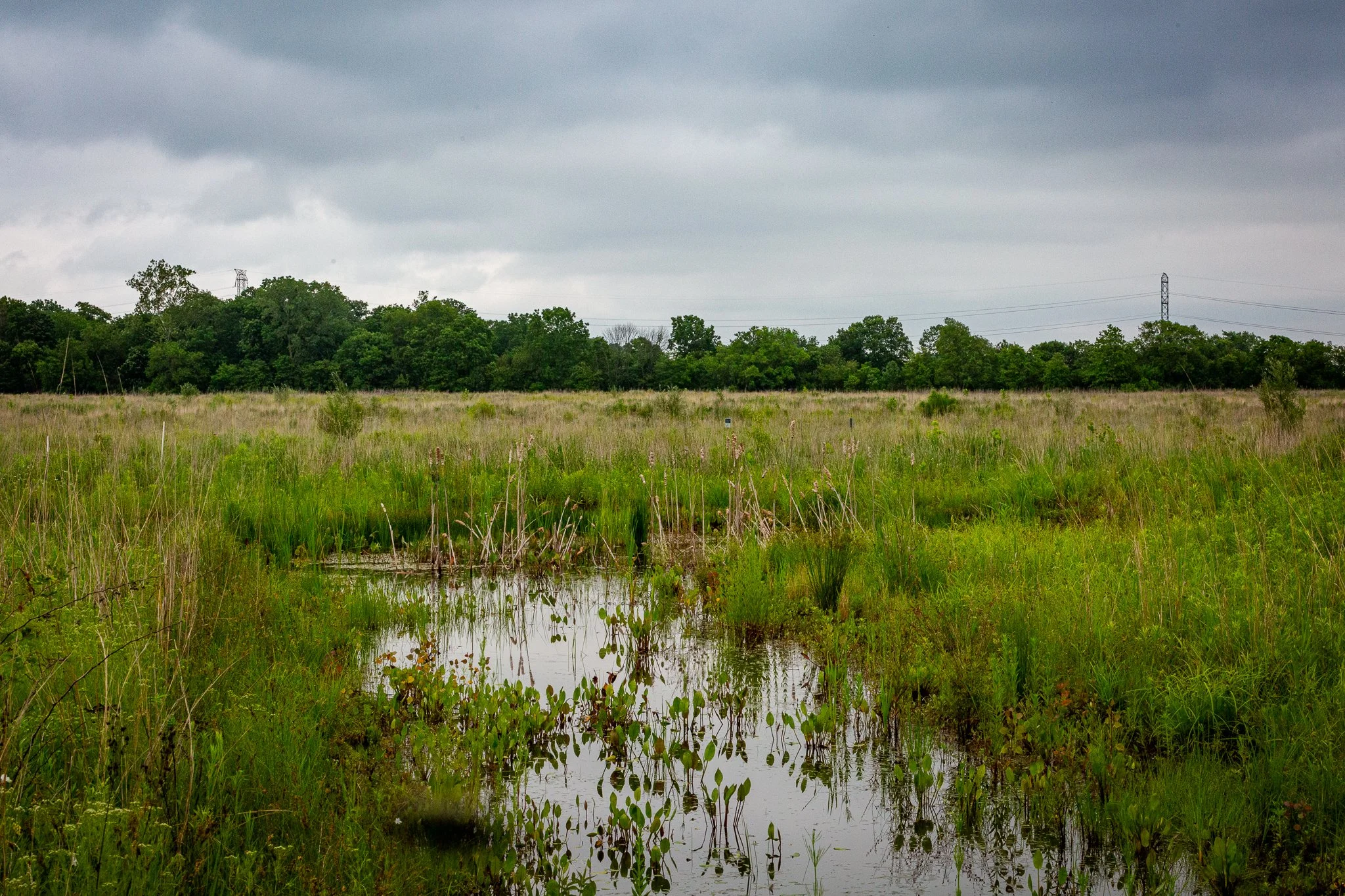 s & w feder rd 2026-06-13 lo-res (4).jpg