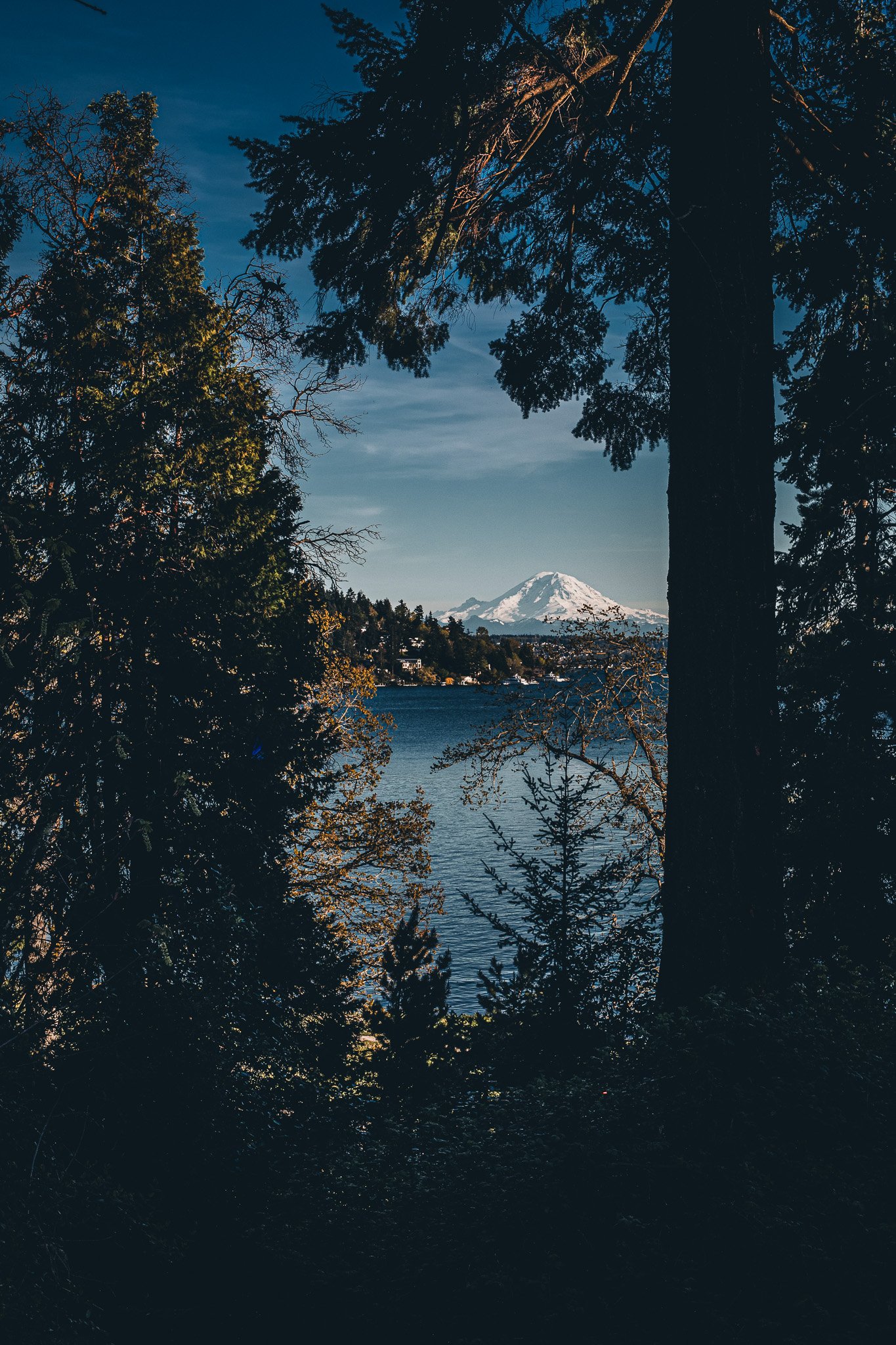 Mt Rainer over Lake Washington, Washington 4.17.25