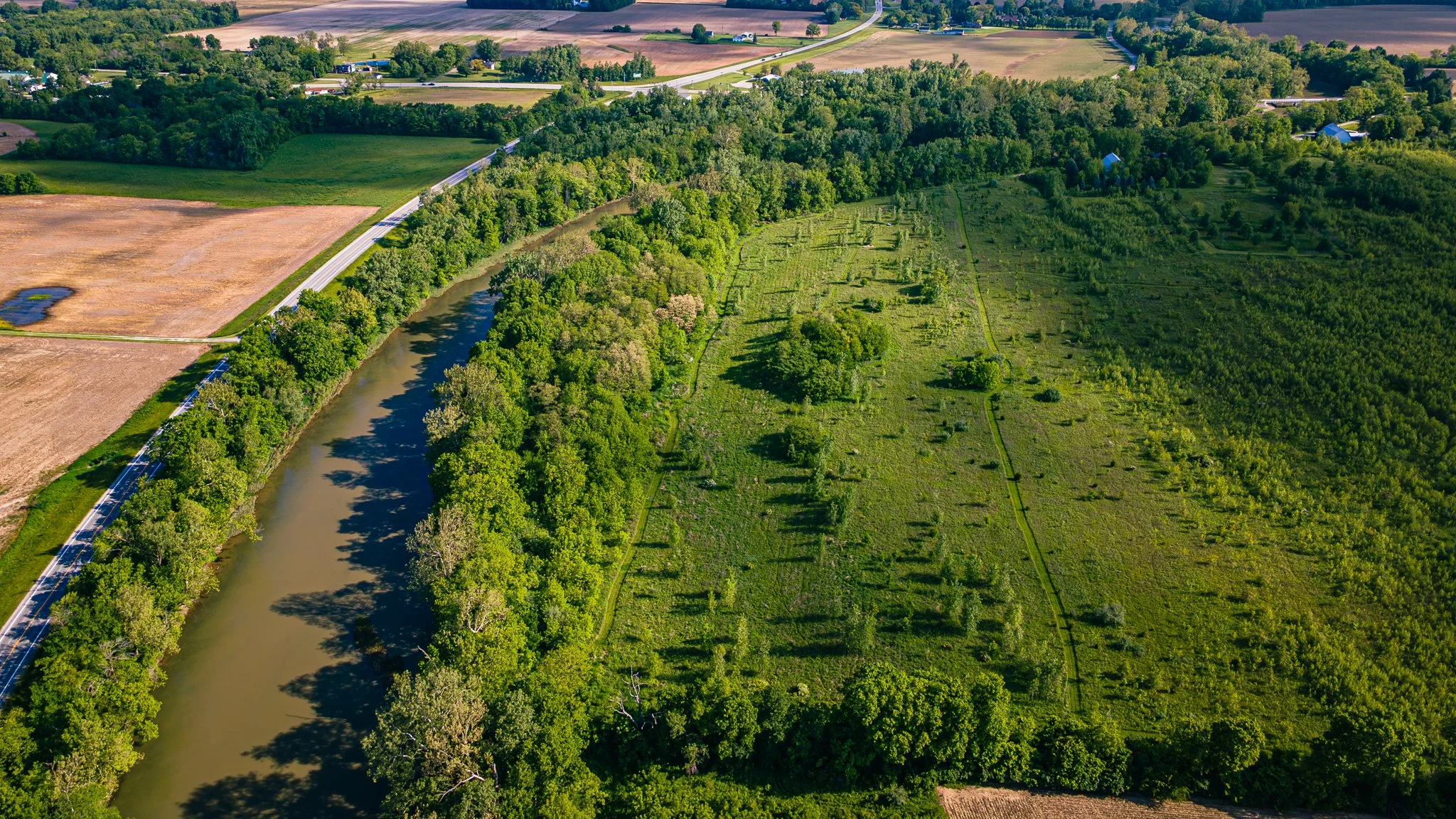 black swamp conservatory water's edge LoRes-03.jpg