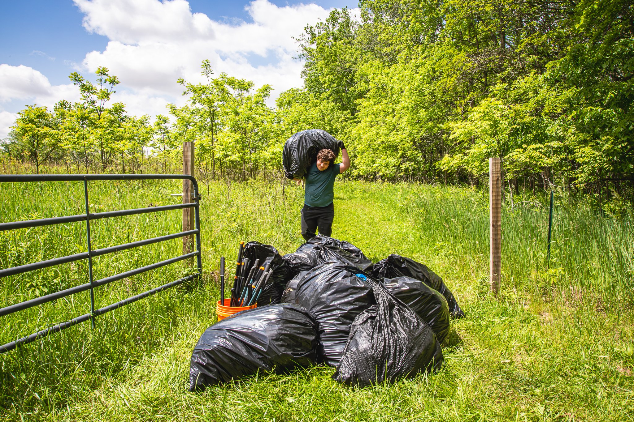 black swamp conservatory water's edge LoRes-21.jpg