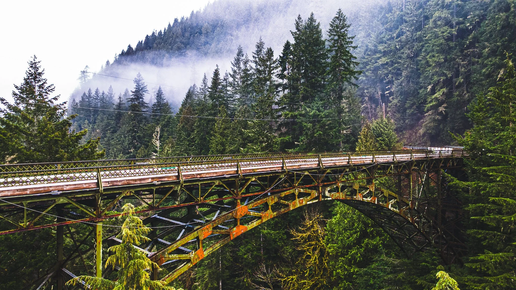 Carbon River. Mt Rainer National Park.LoRes-34-2.jpg