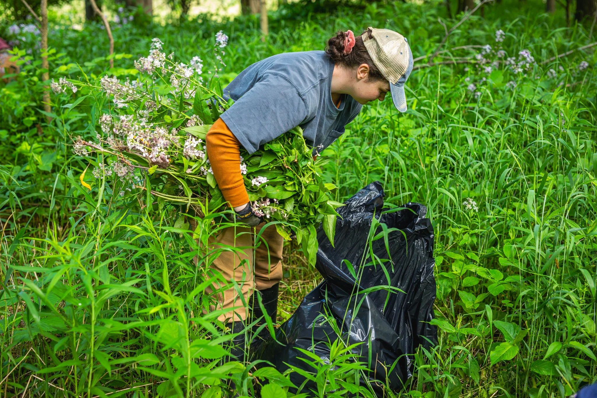 black swamp conservatory water's edge LoRes-13.jpg