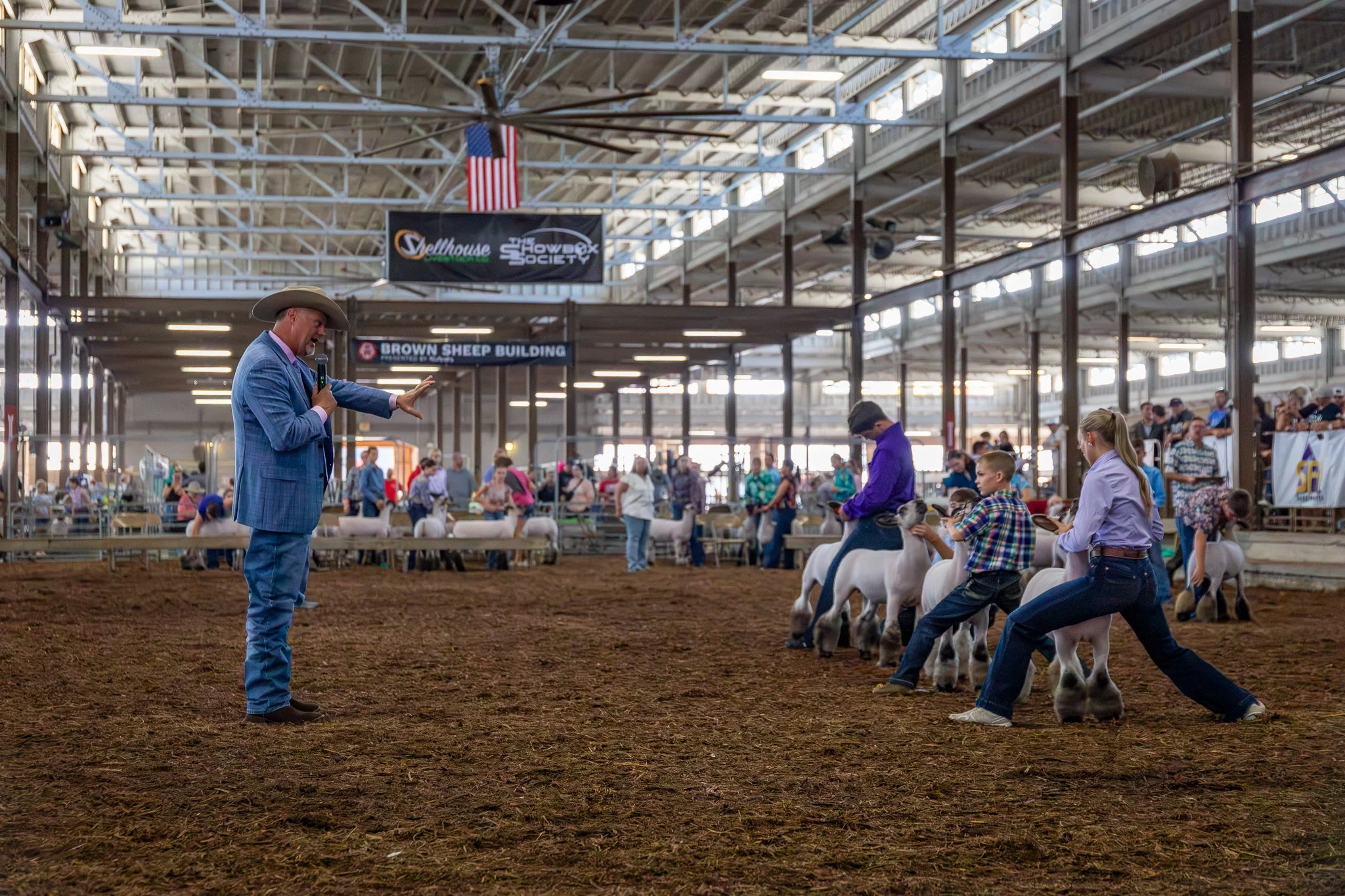 Judge Wade Franklin from Shallow Water Texas, inspects sheep shown at The Ohio State Fair, Thursday July 2,