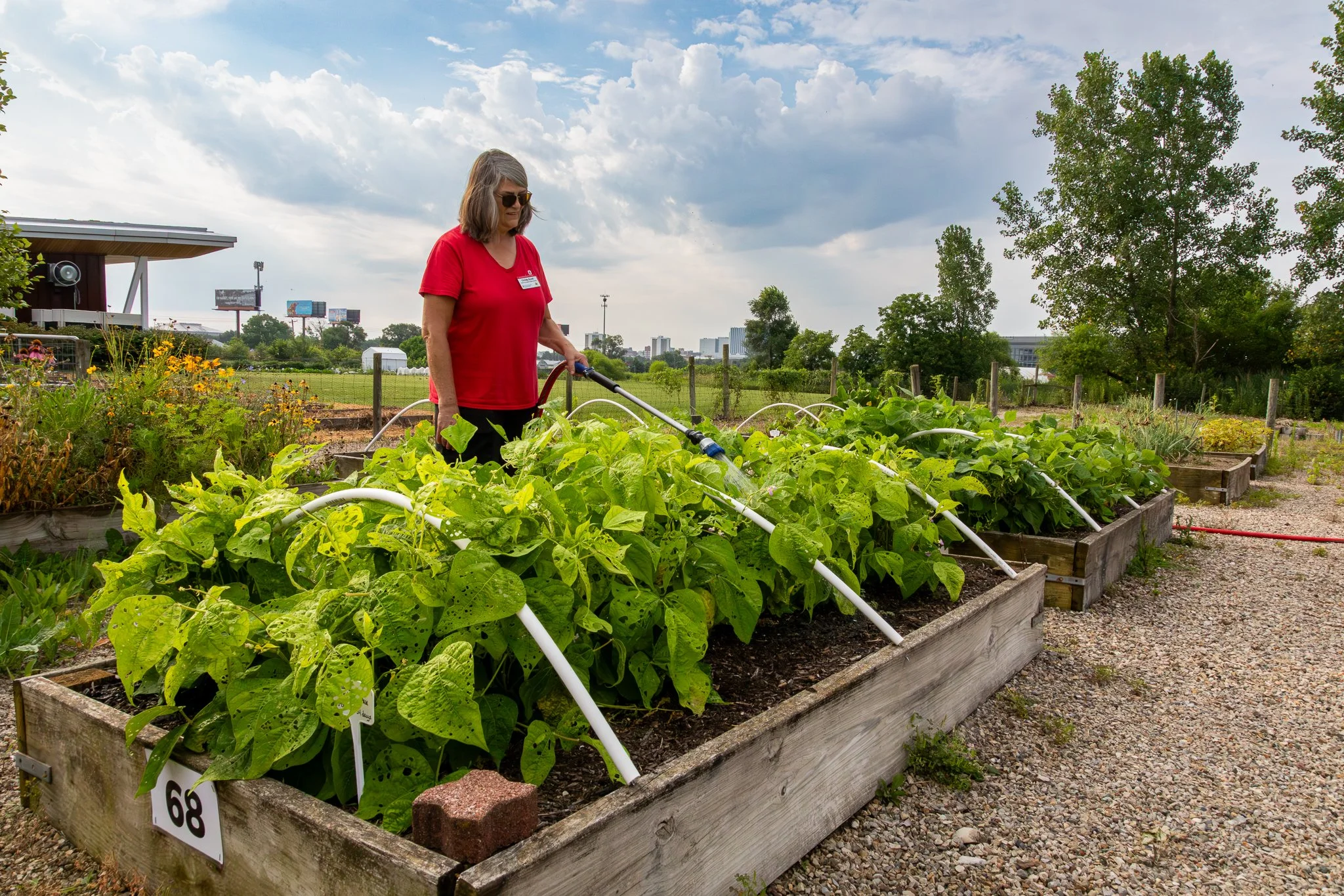 Franklin County Master Gardener volunteers at Waterman Farm Community Garden, The Ohio State University. Friday July 25, 2025