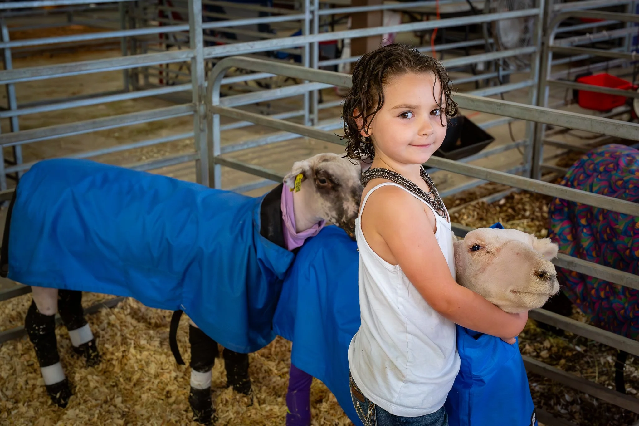 "First time showing" Scarlett Carney, age 8, from Highland County,  The Ohio State Fair, Thursday July 24, 2025