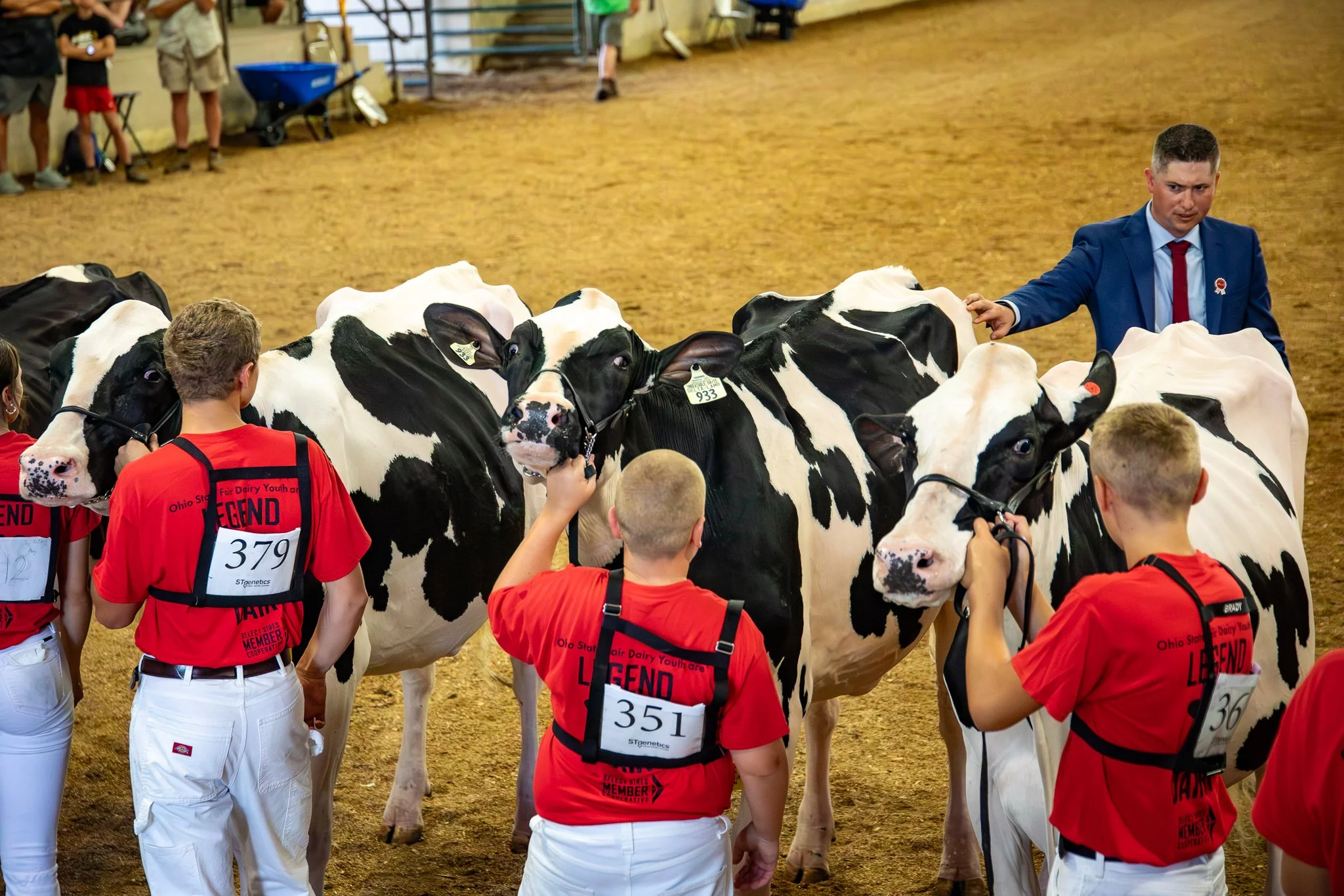 "Passing Judgement" Dairy cow show. The Ohio State Fair, Thursday July 24, 2025