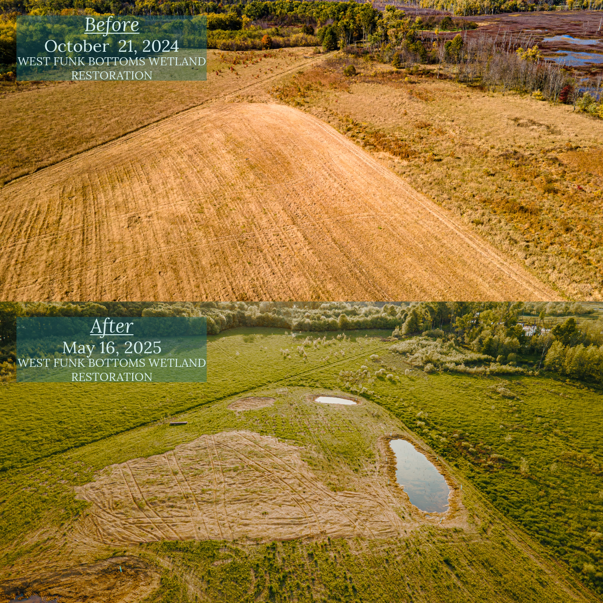 Funk Bottoms Restoration, Ohio. 05.16.2025