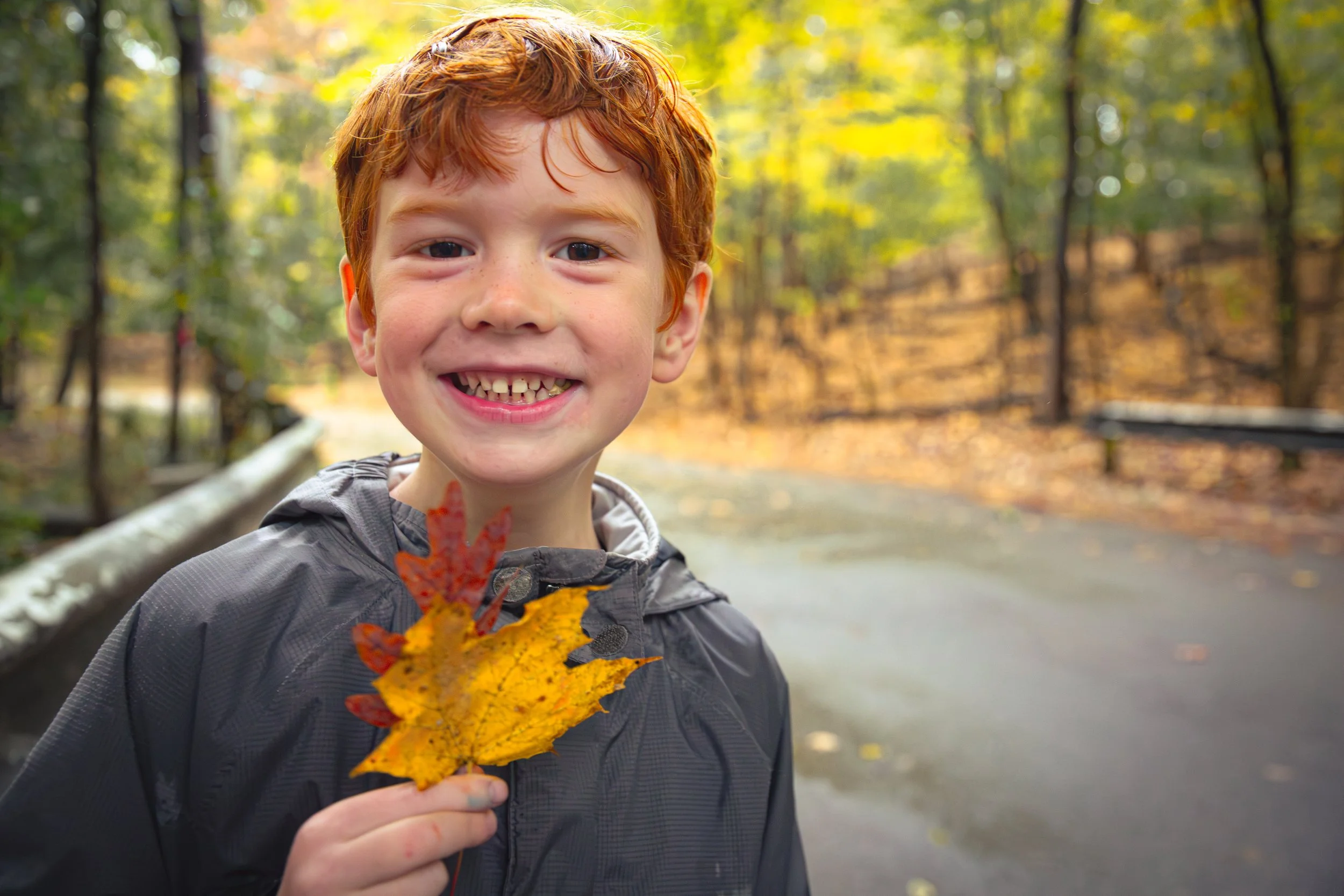 Desmond with leaf, Walhalla Ravine, Ohio 10.19.2025