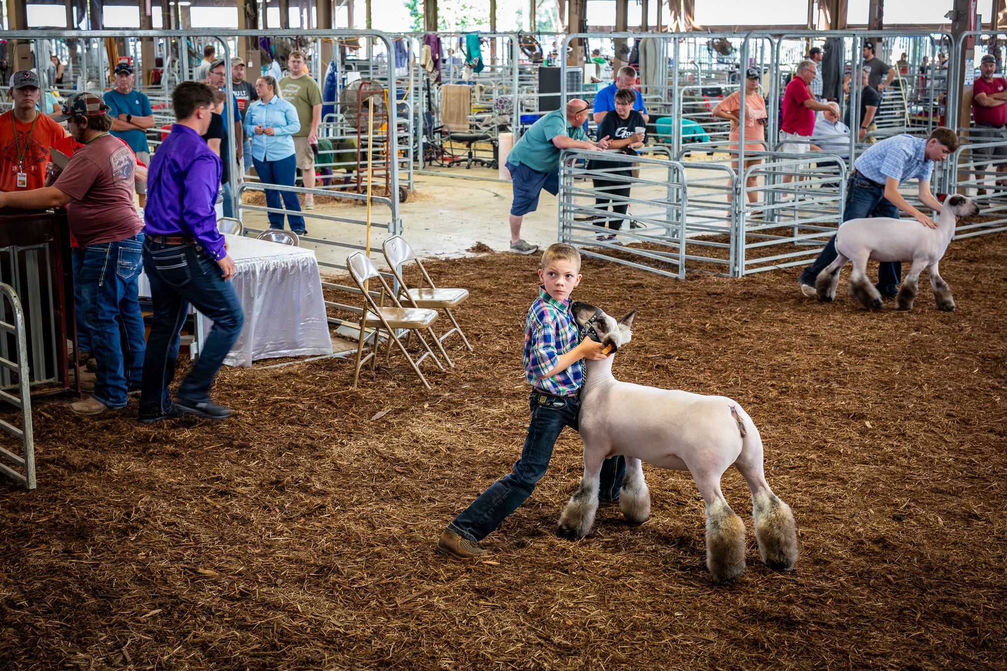 "Standing Ready" Hunter Sulzemer, age 10, from Medina County. The Ohio State Fair, Thursday July 24, 2025