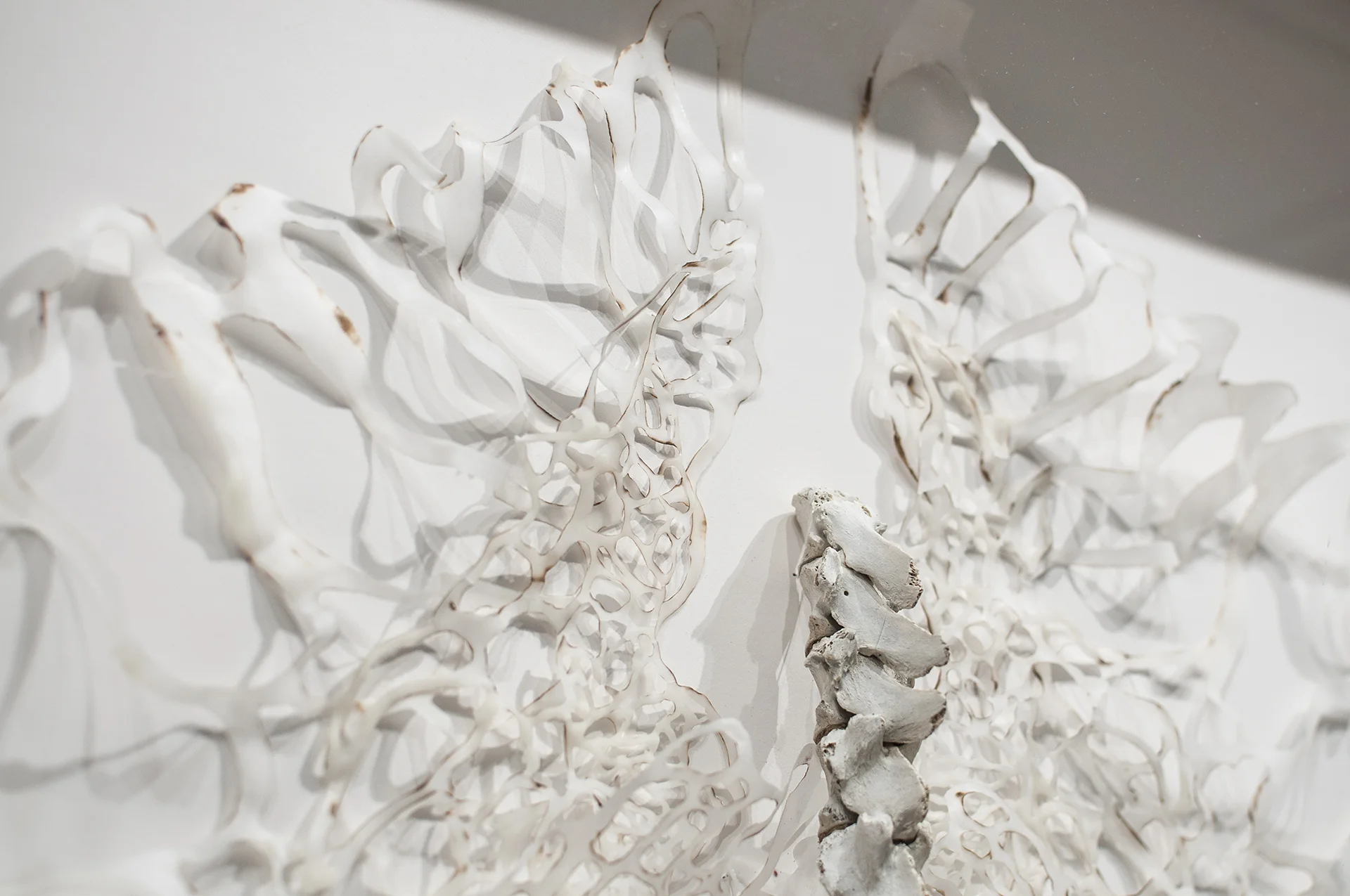 Flesh and Bone Detail Handcut and Burnt Rice Paper, Beeswax, Bone 2013