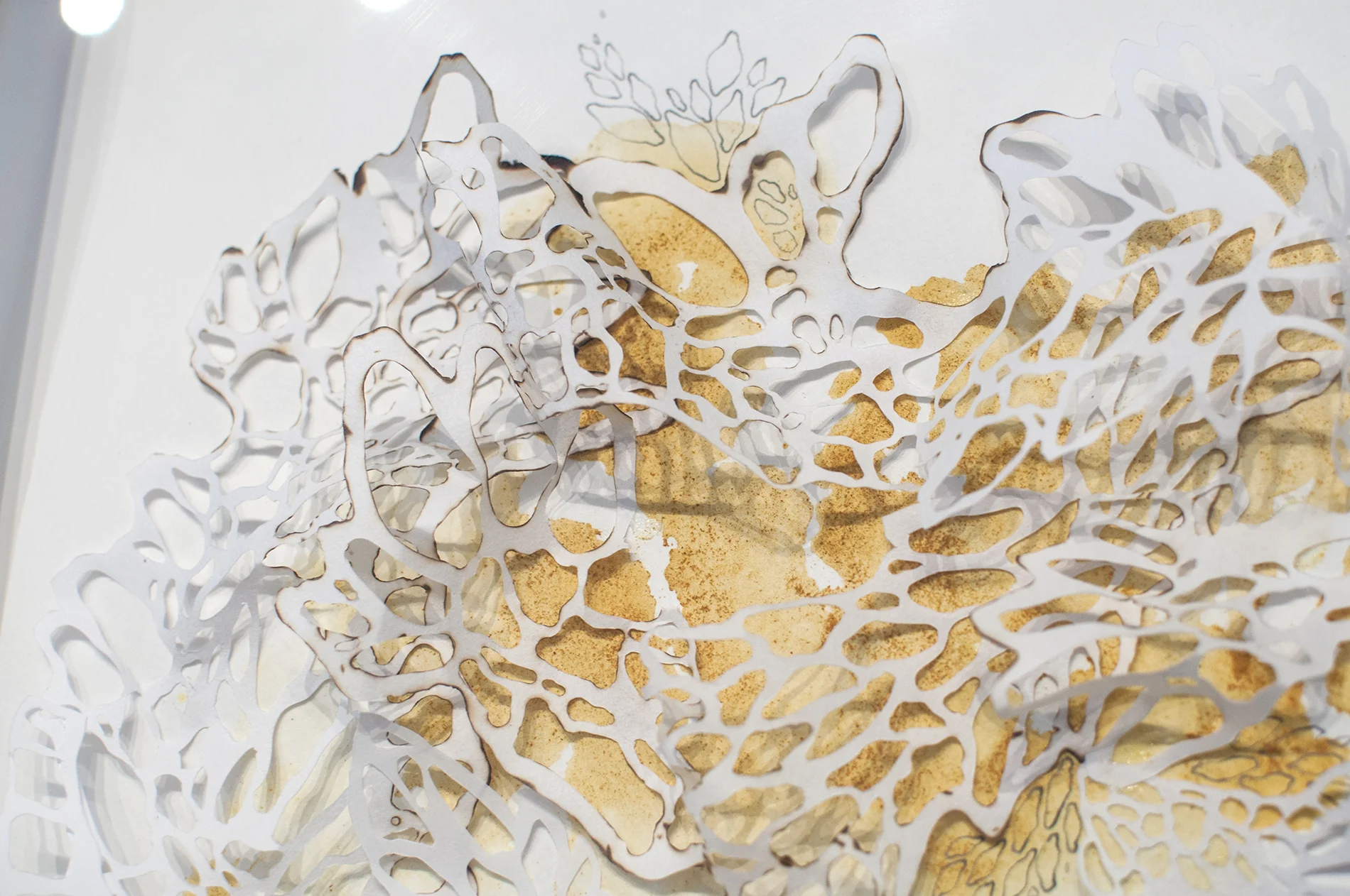 Is There an Ending to It? Detail Handcut Rice Paper, Graphite, Turmeric 2014