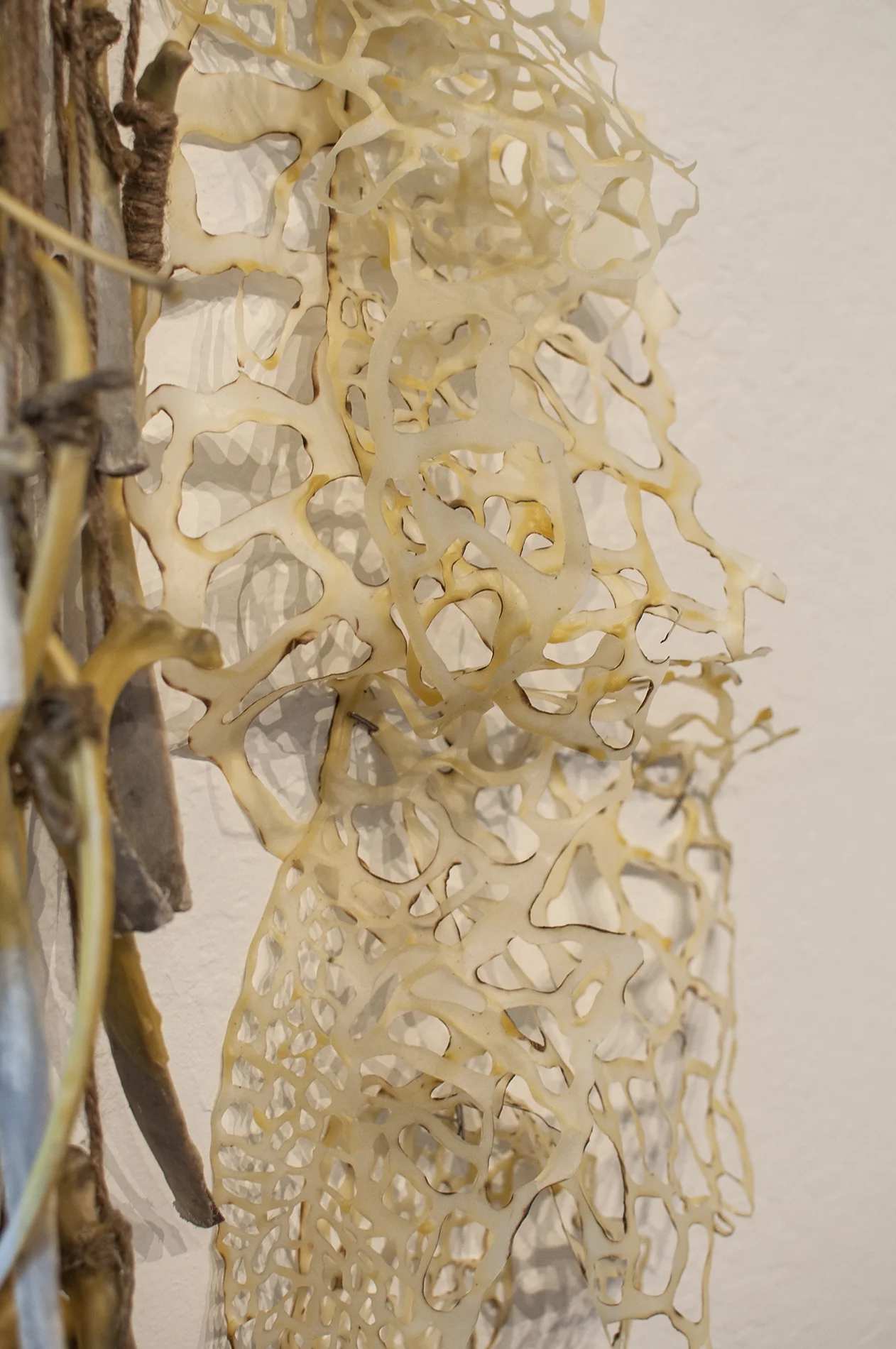 Makeshift Body Detail Handcut and Burnt Rice Paper, Beeswax, Bone 2014