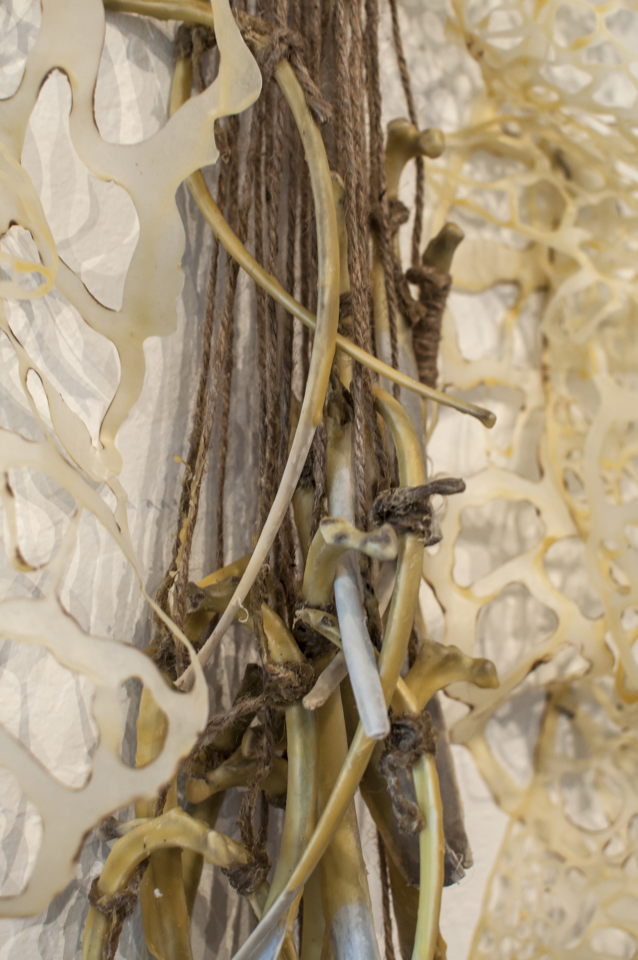 Makeshift Body Detail Handcut and Burnt Rice Paper, Beeswax, Bone 2014