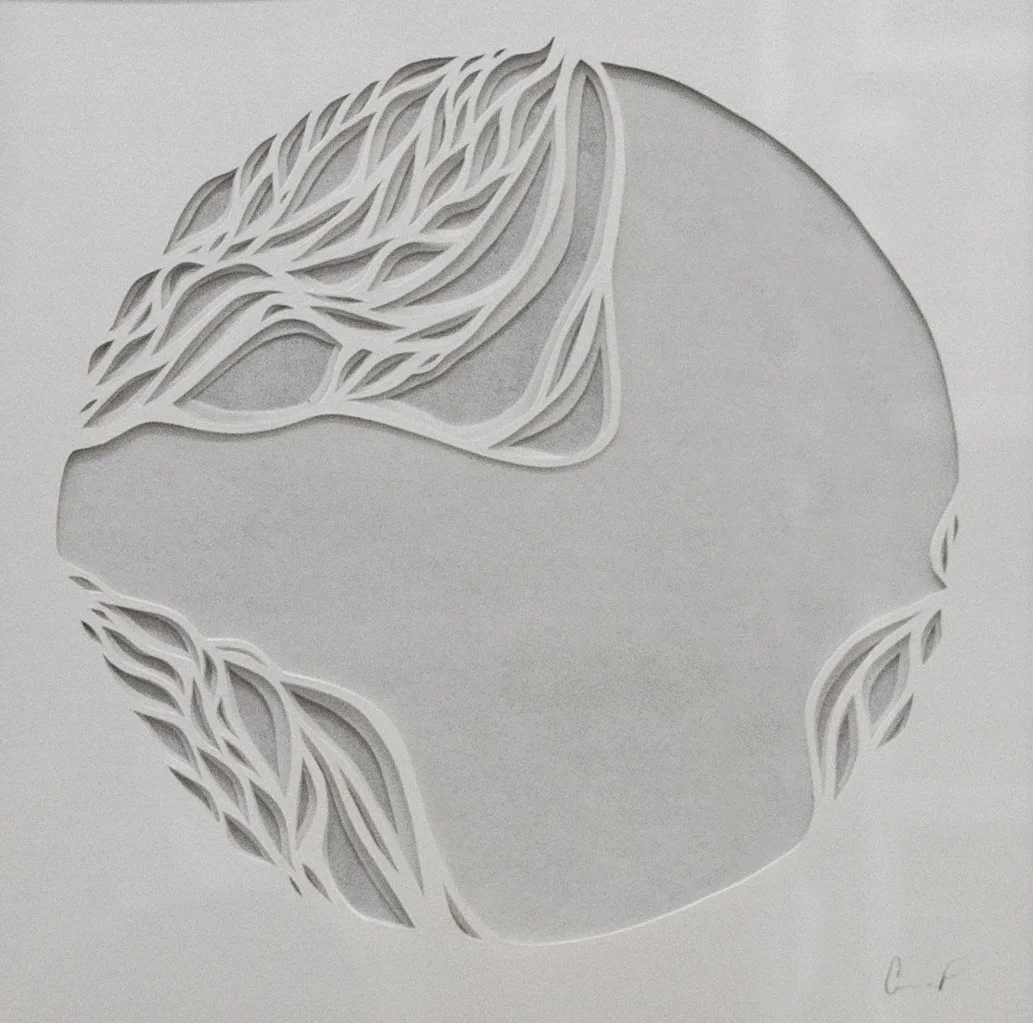 1/3 of the Microscopic Series Handcut Paper 2013