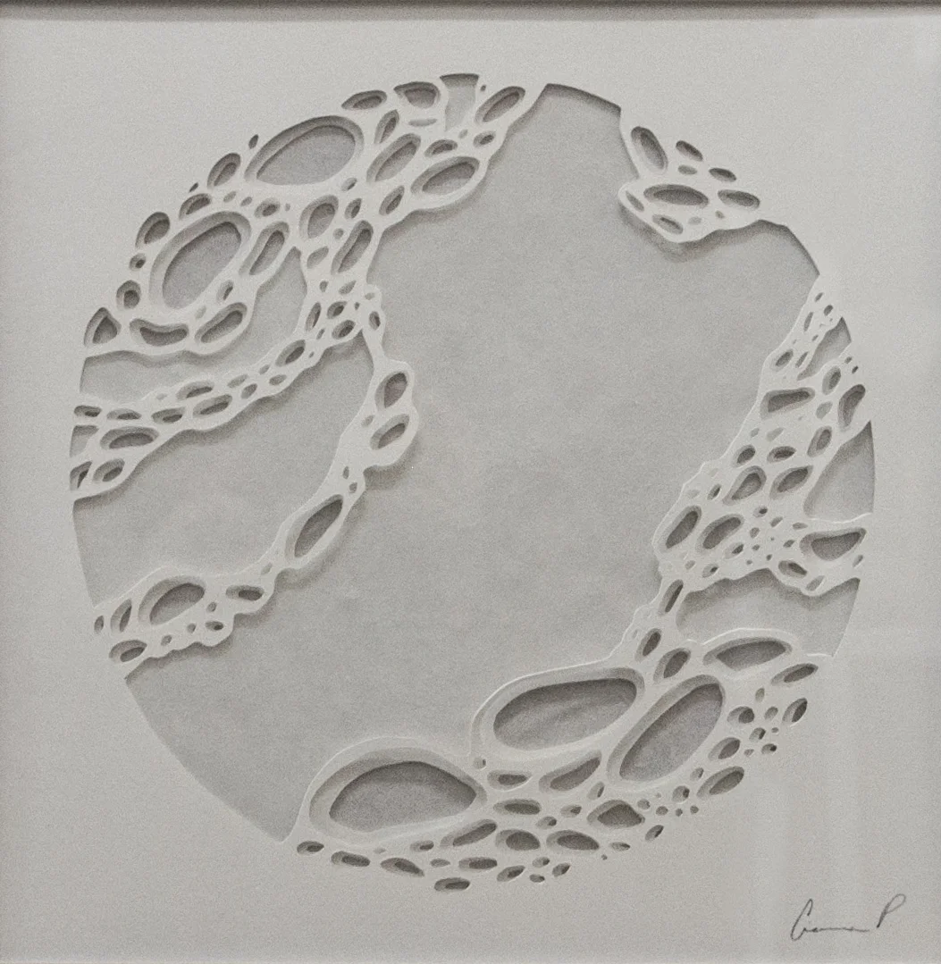 3/3 of the Microscopic Series Handcut Paper 2013