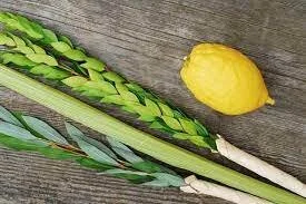 Lulav-Etrog.jpg