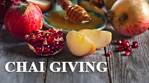 Donate Now