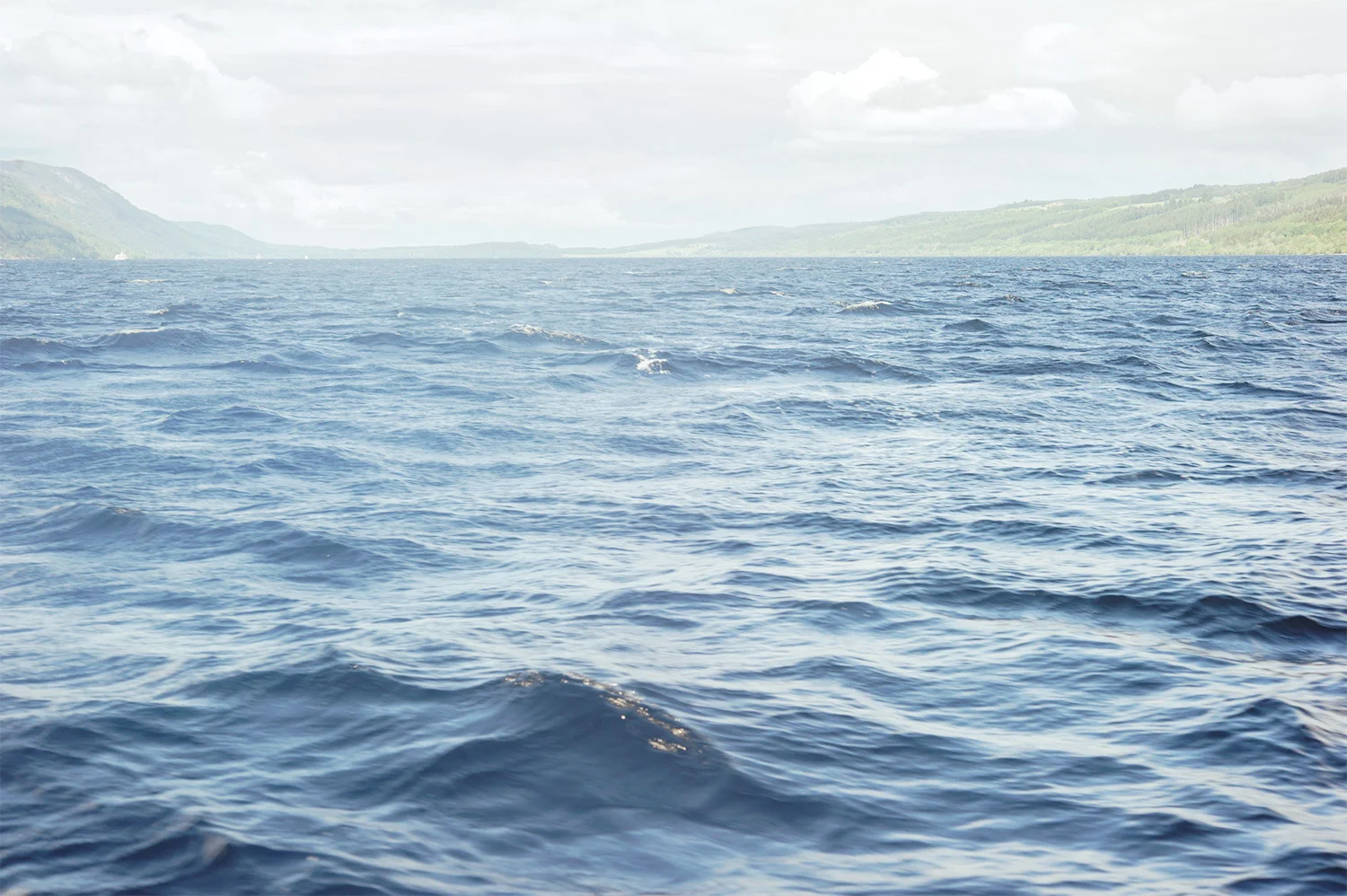 Border, Sharon Peng, U.K., 2014