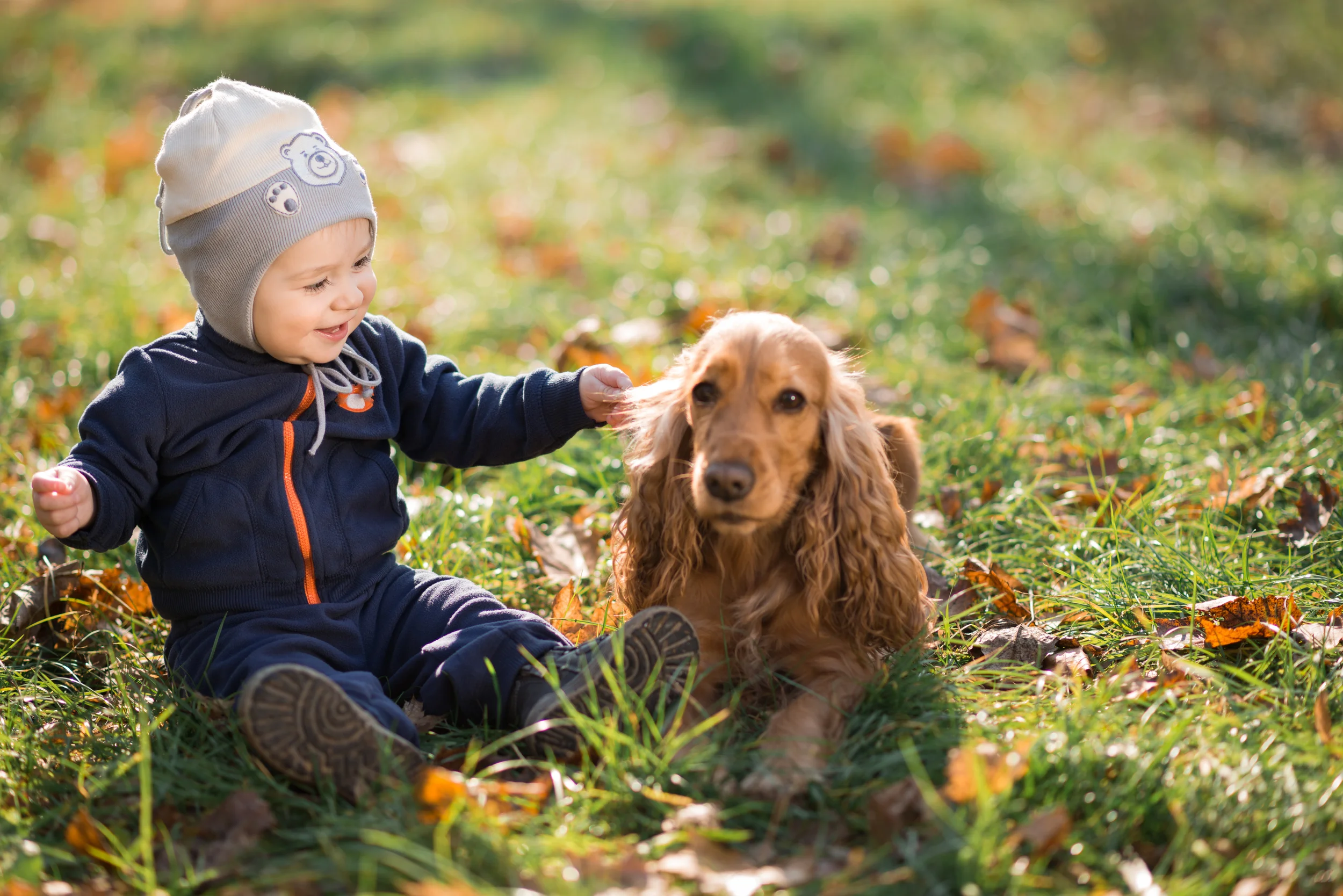 shutterstock_161168519.jpg