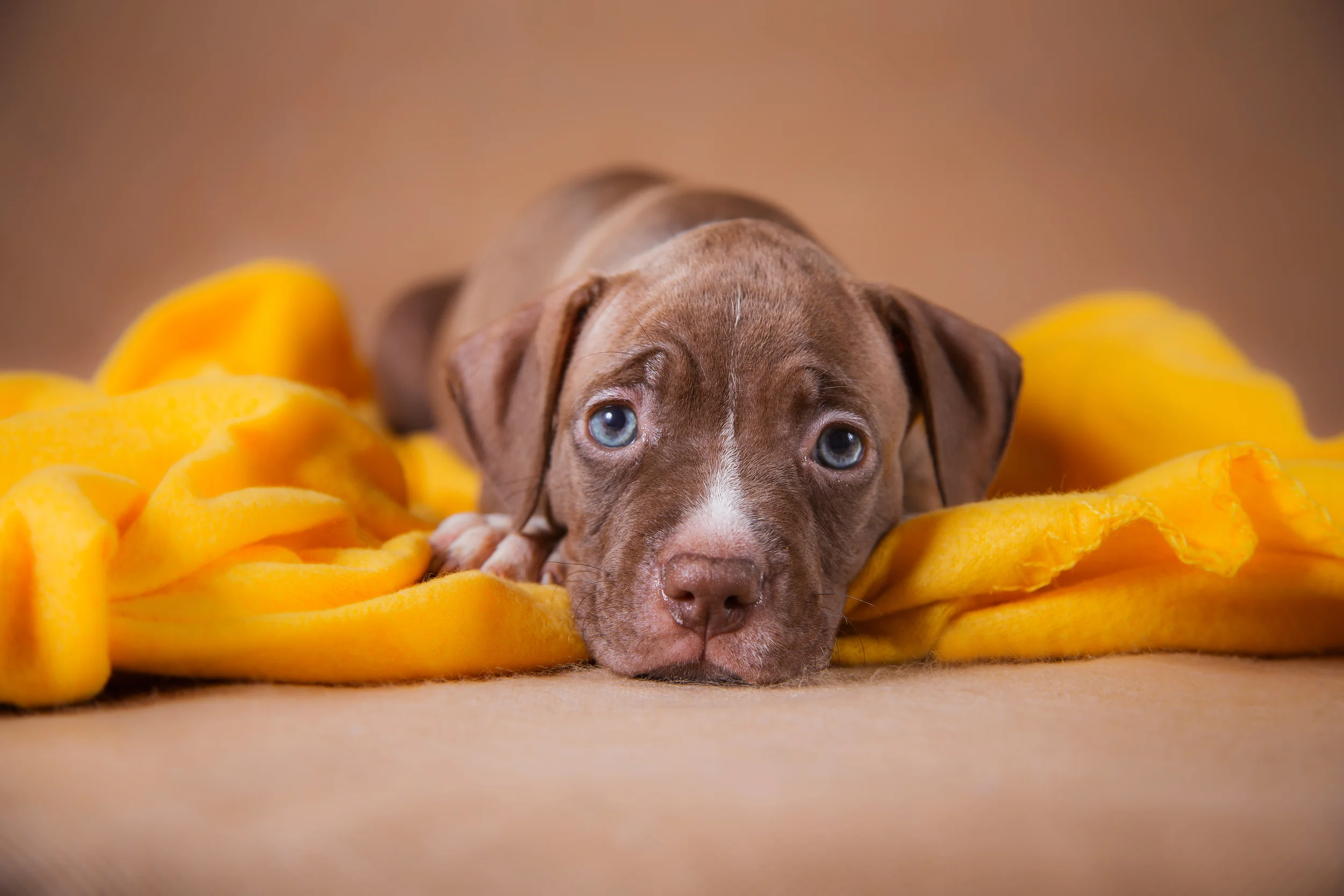 shutterstock_220082257.jpg