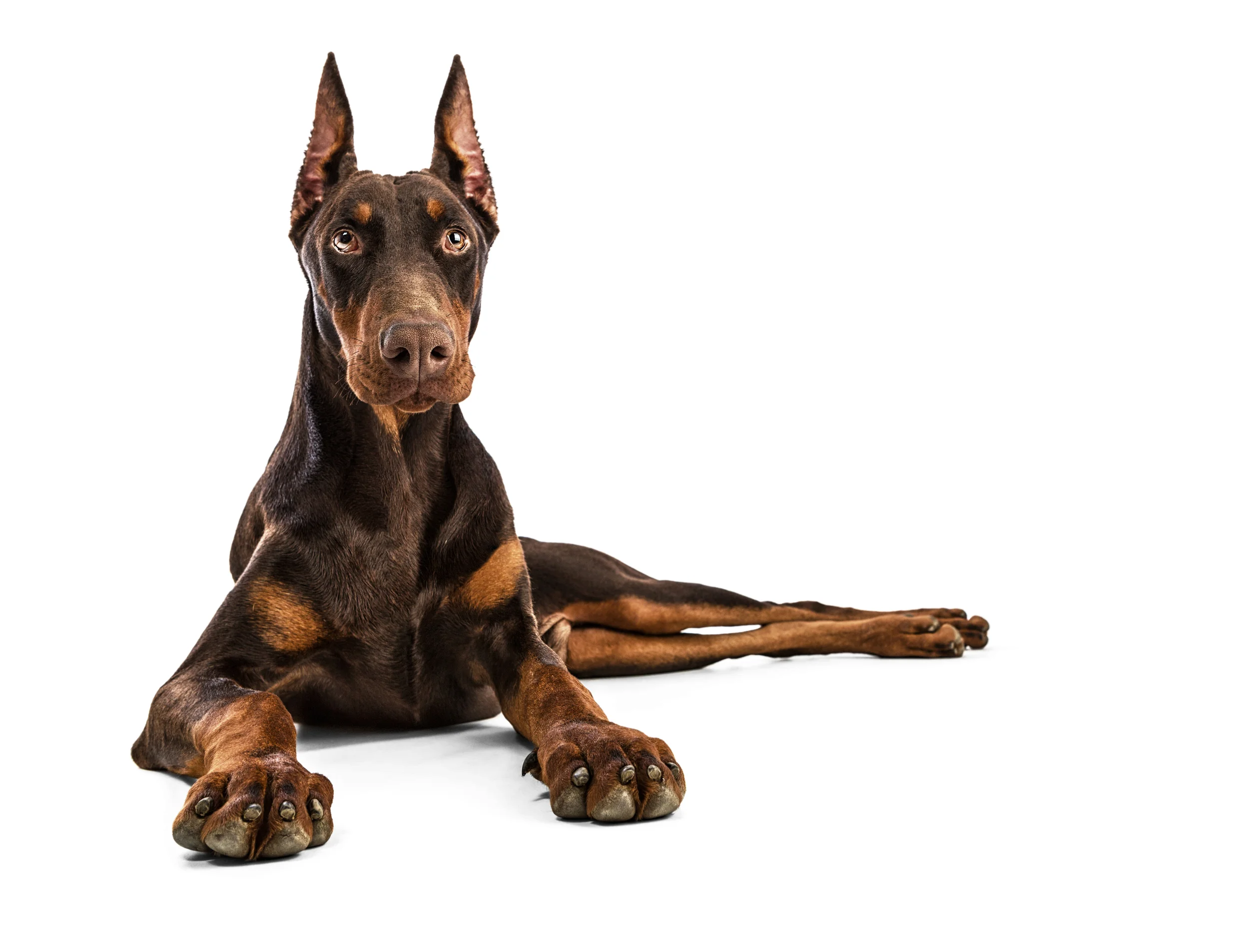 shutterstock_221076799.jpg