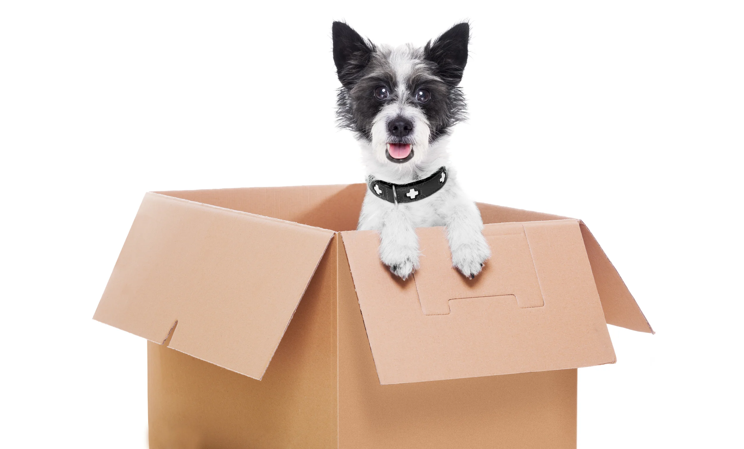 shutterstock_159895751x.jpg