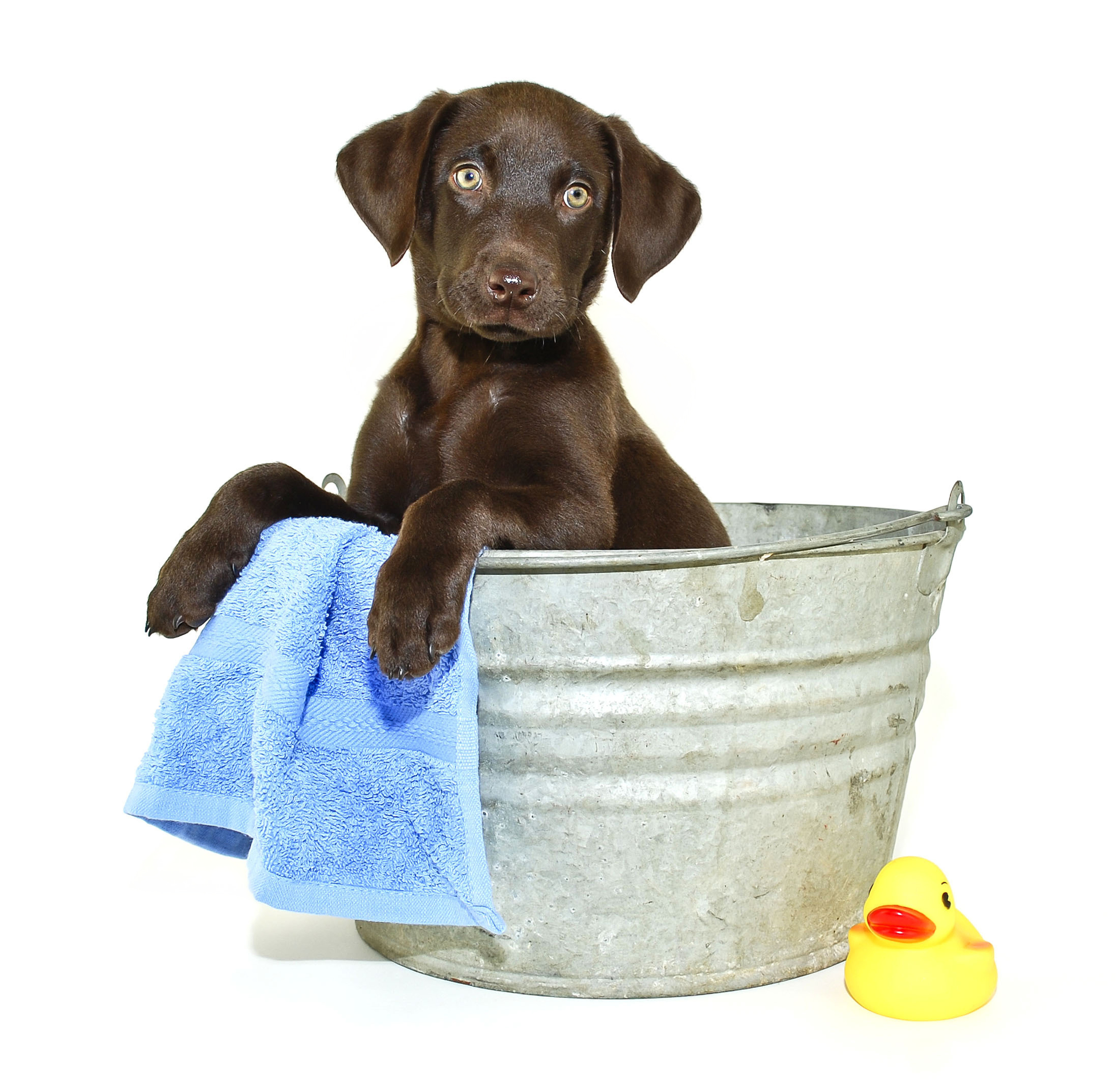 shutterstock_117076714.jpg