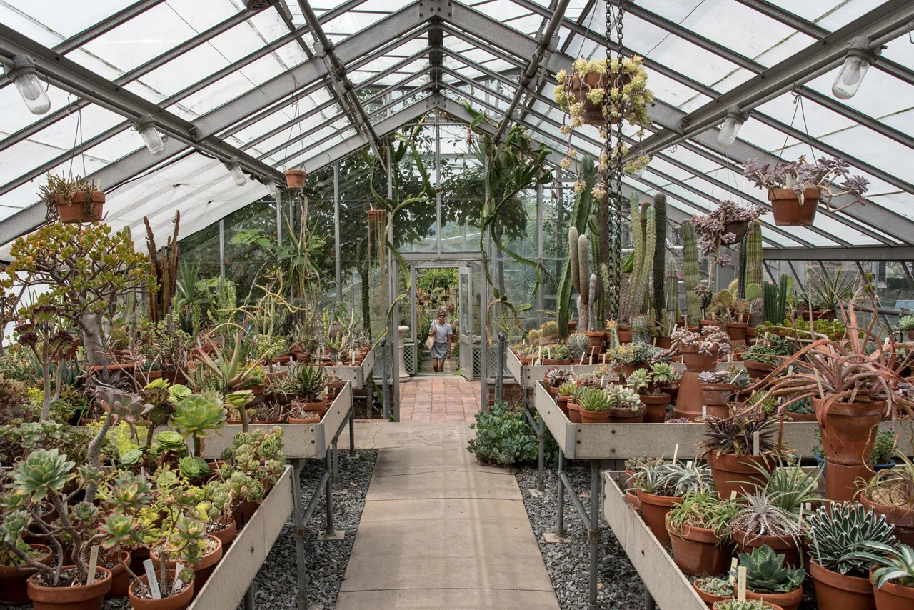 Conservatory at Wave Hill The Bronx, NYC