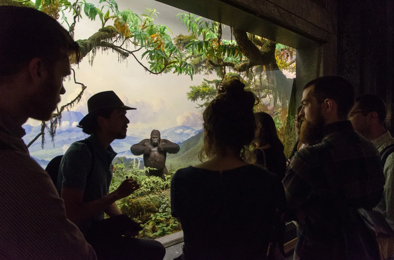Museum Hack Tour of the American Museum of Natural History in NYC
