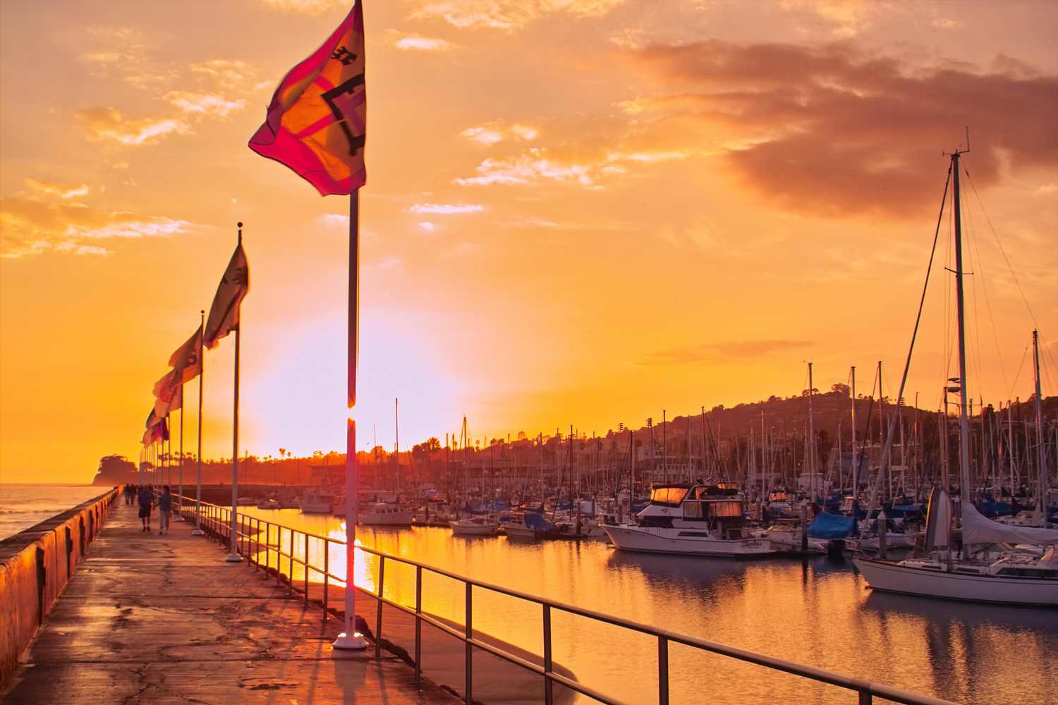 harbor.jpg