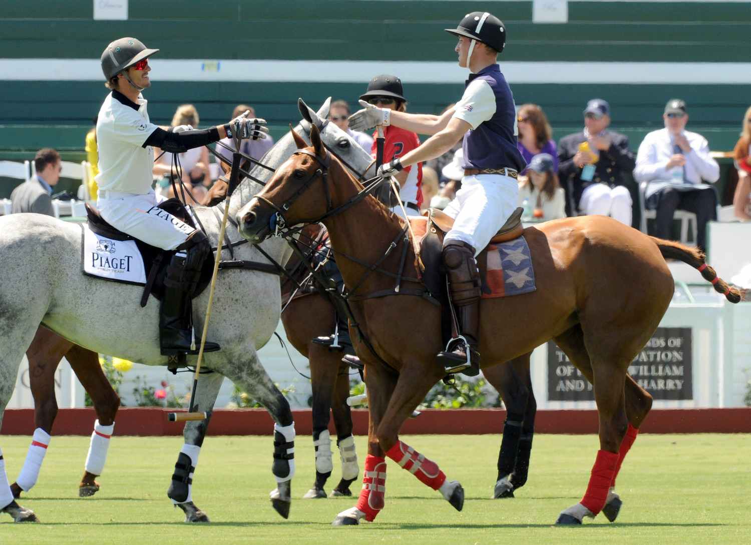 polo.jpg