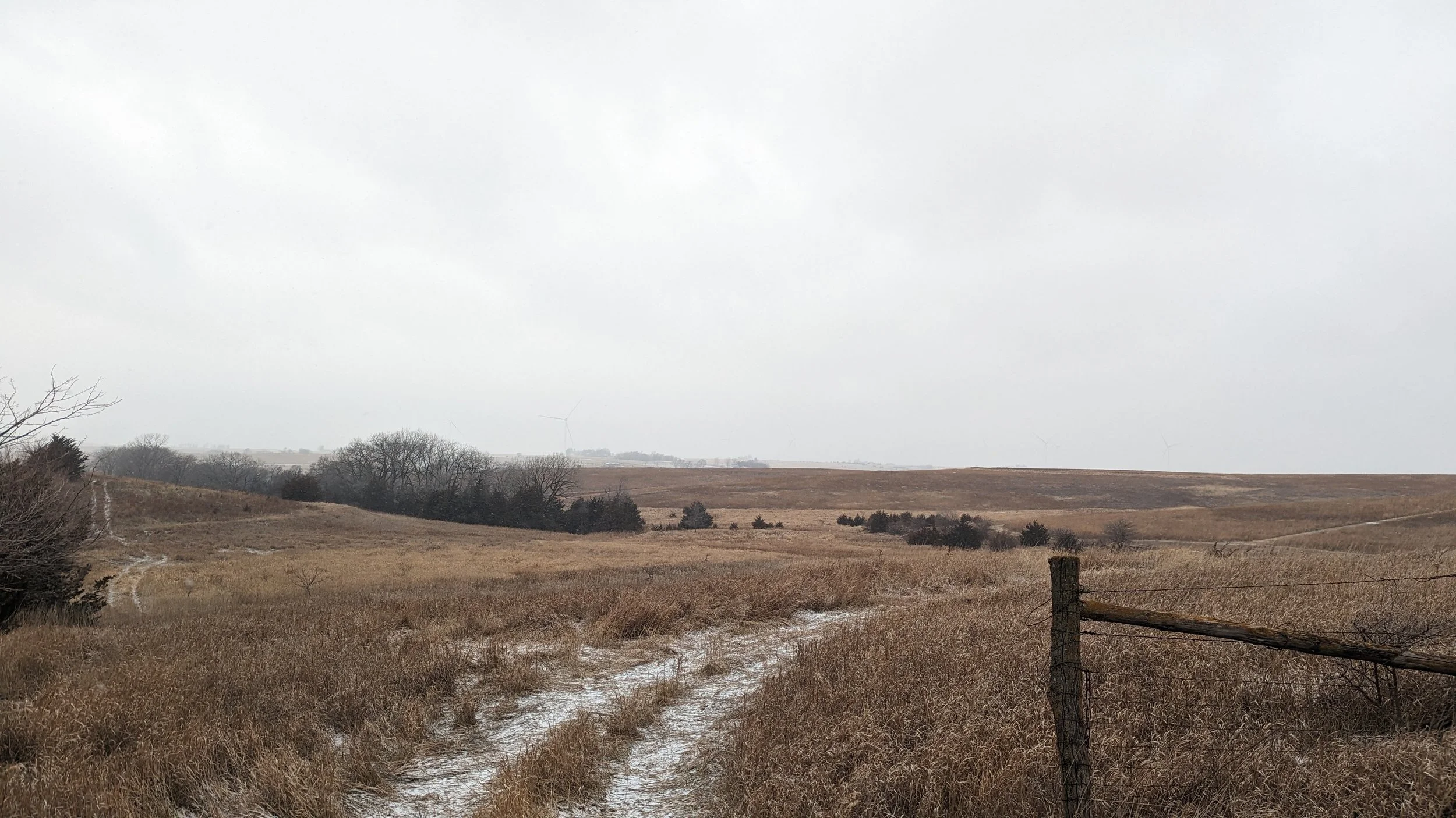 66459 750th St. Massena, Iowa 50853 Recreational Ground — Wayne